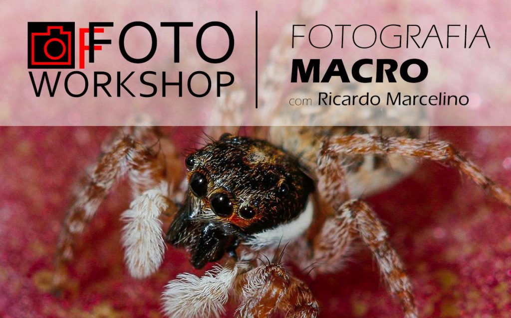 Workshop Fotografia Macro