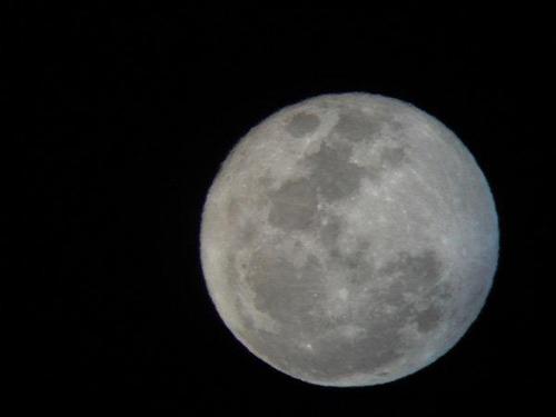 Celestron AstroMaster 90EQ Refractor for Lunar & Planetary Views | Fully Coated Glass Optics, Crisp Moon & Planetary Views, Equatorial Mount with Easy Manual Controls, No-Tool Setup customer photo 2