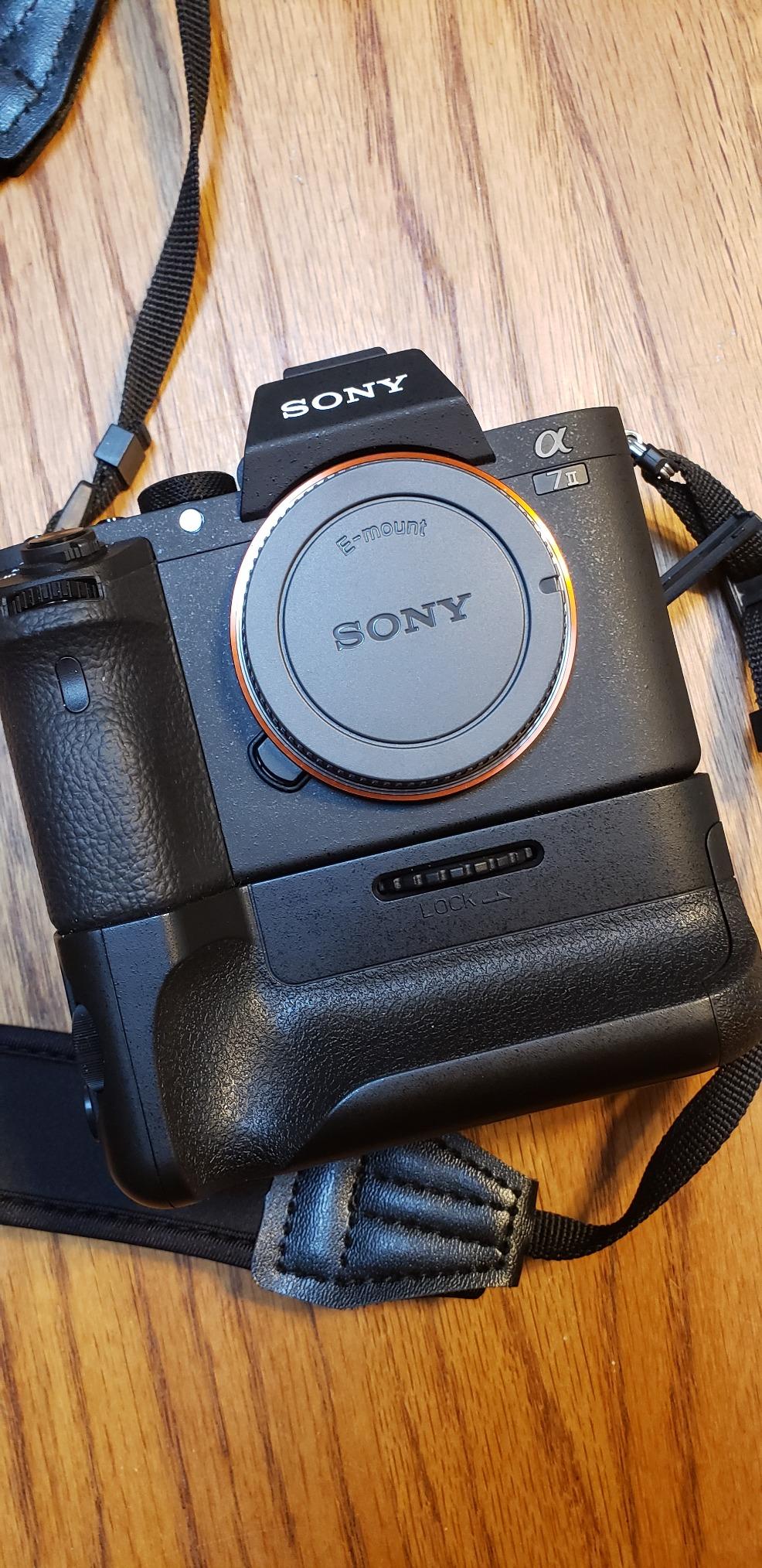 Sony Alpha 7 II E-mount interchangeable lens mirrorless camera with full frame sensor customer photo 1
