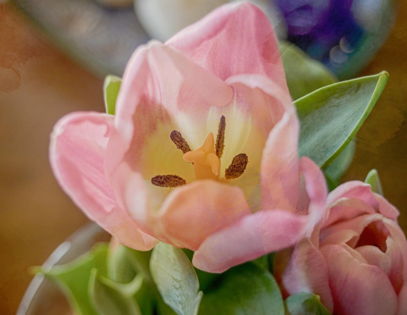 Olympus M.Zuiko Digital ED 30mm F3.5 Macro for Micro Four Thirds System Camera, Compact Macro Lens, 1.25x Image Maginification, Fast AF, Beautiful Bokeh customer photo 1