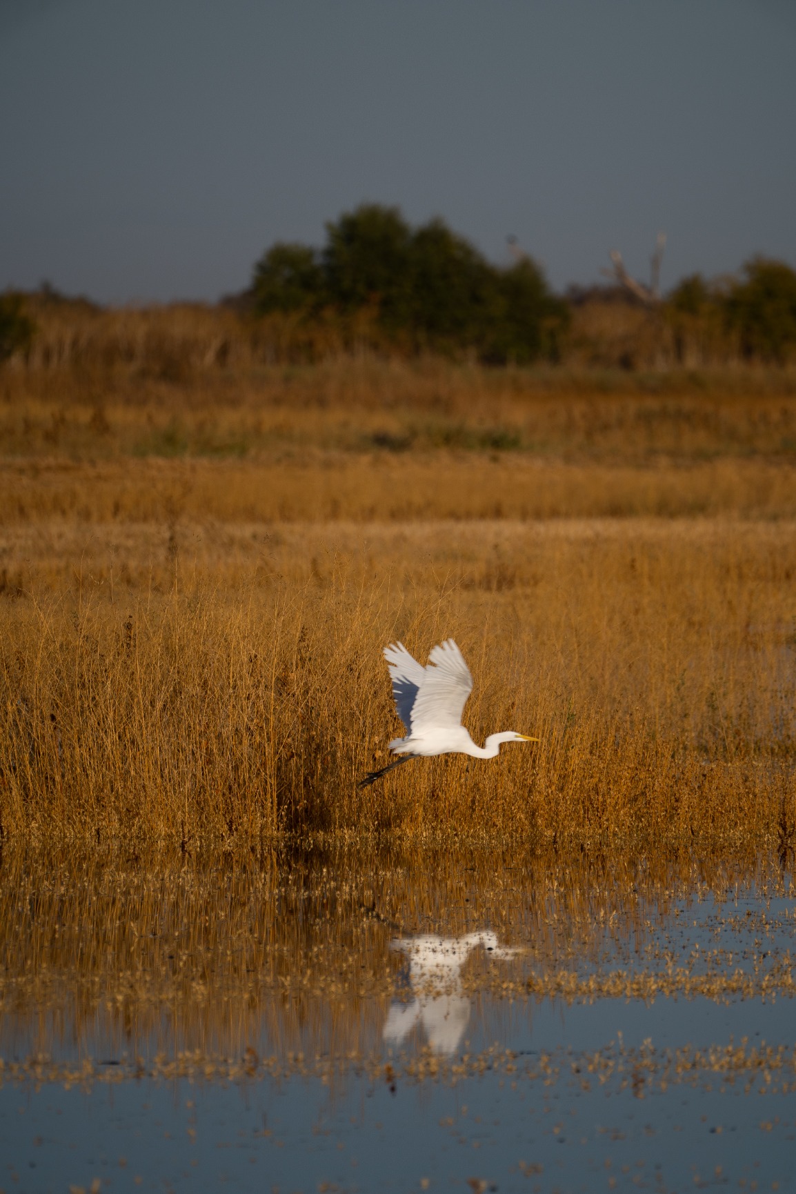 Sony FE 1.4x Teleconverter customer photo 2