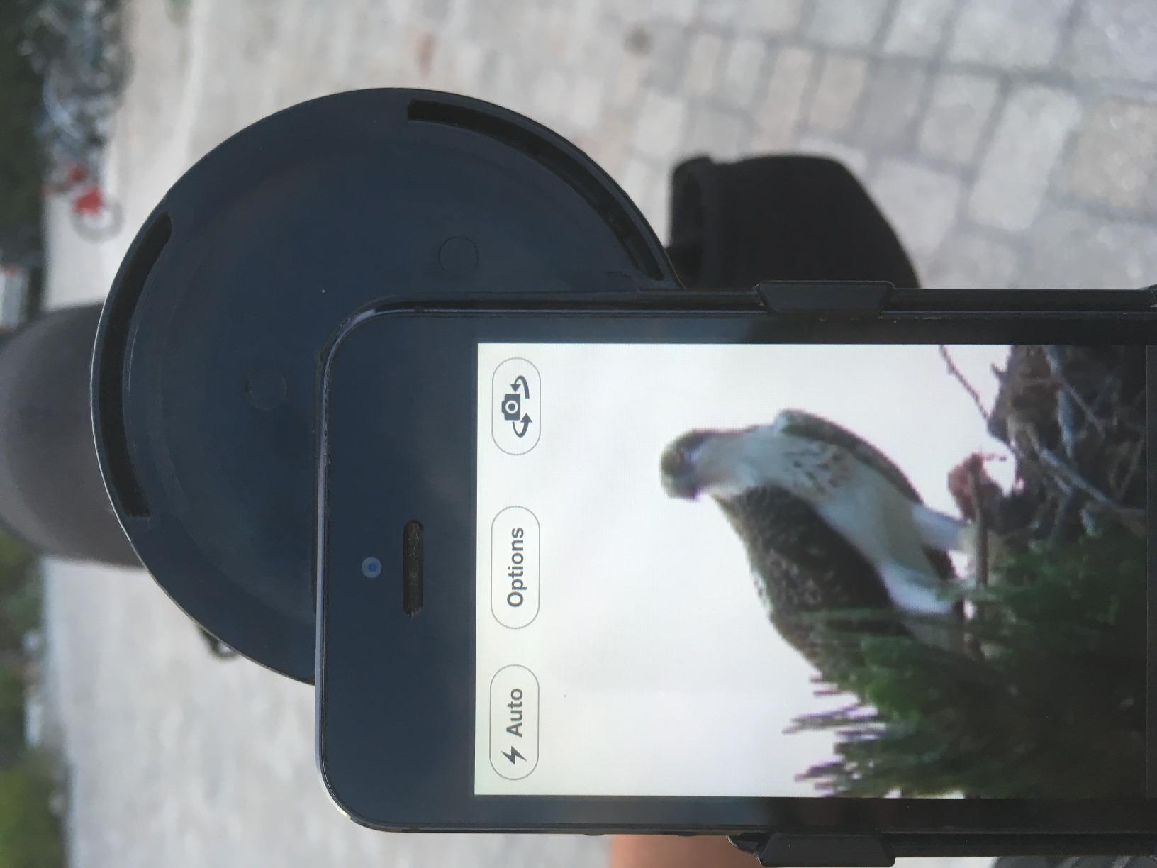 Vortex Optics Razor HD Spotting Scopes customer photo 1
