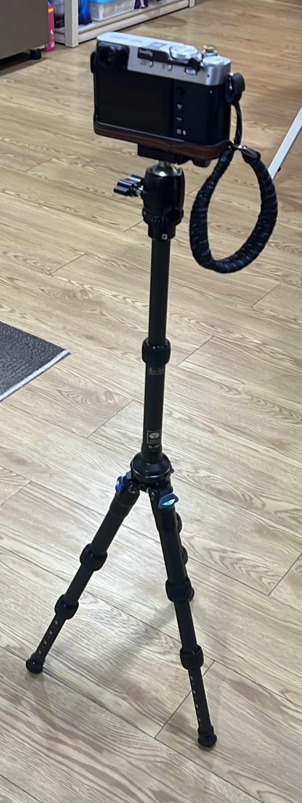 SIRUI AM-223 Carbon Fiber Camera Tripod Mini Travel Compact Tripod with 360° B-00K Ball Head, Arca Swiss Quick Release Plate, Loads up 15KG, Max Height 16