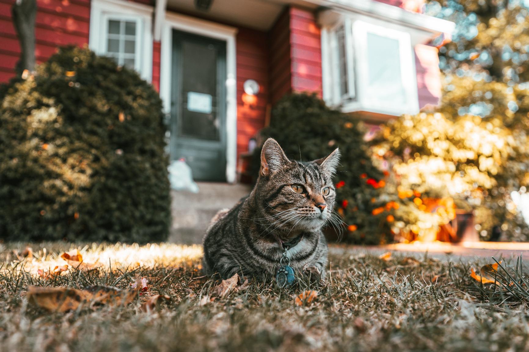 17-28mm f/2.8 Di III RXD for Sony Mirrorless Full Frame/APS-C E Mount, Black (AFA046S700) customer photo 2