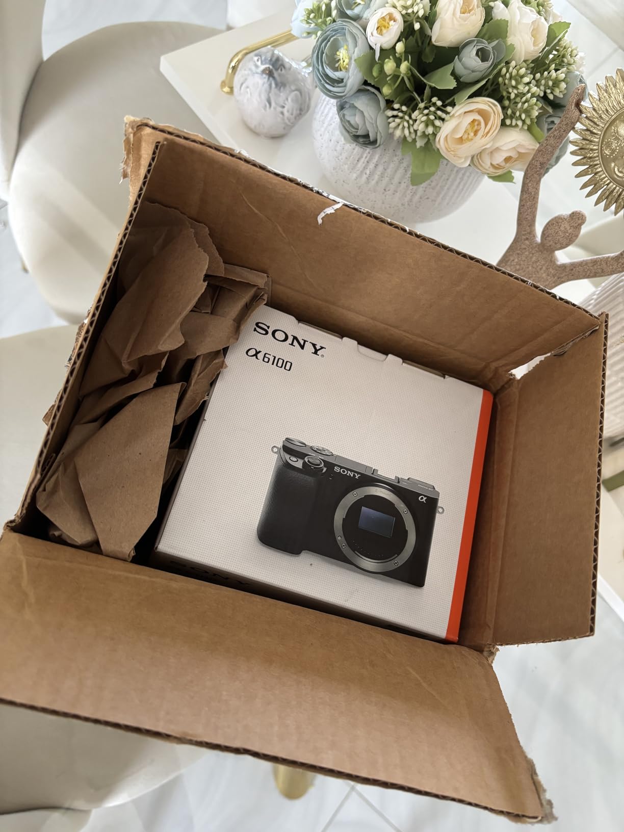 Sony Alpha A6100 Mirrorless Camera, Black (Body) customer photo 2