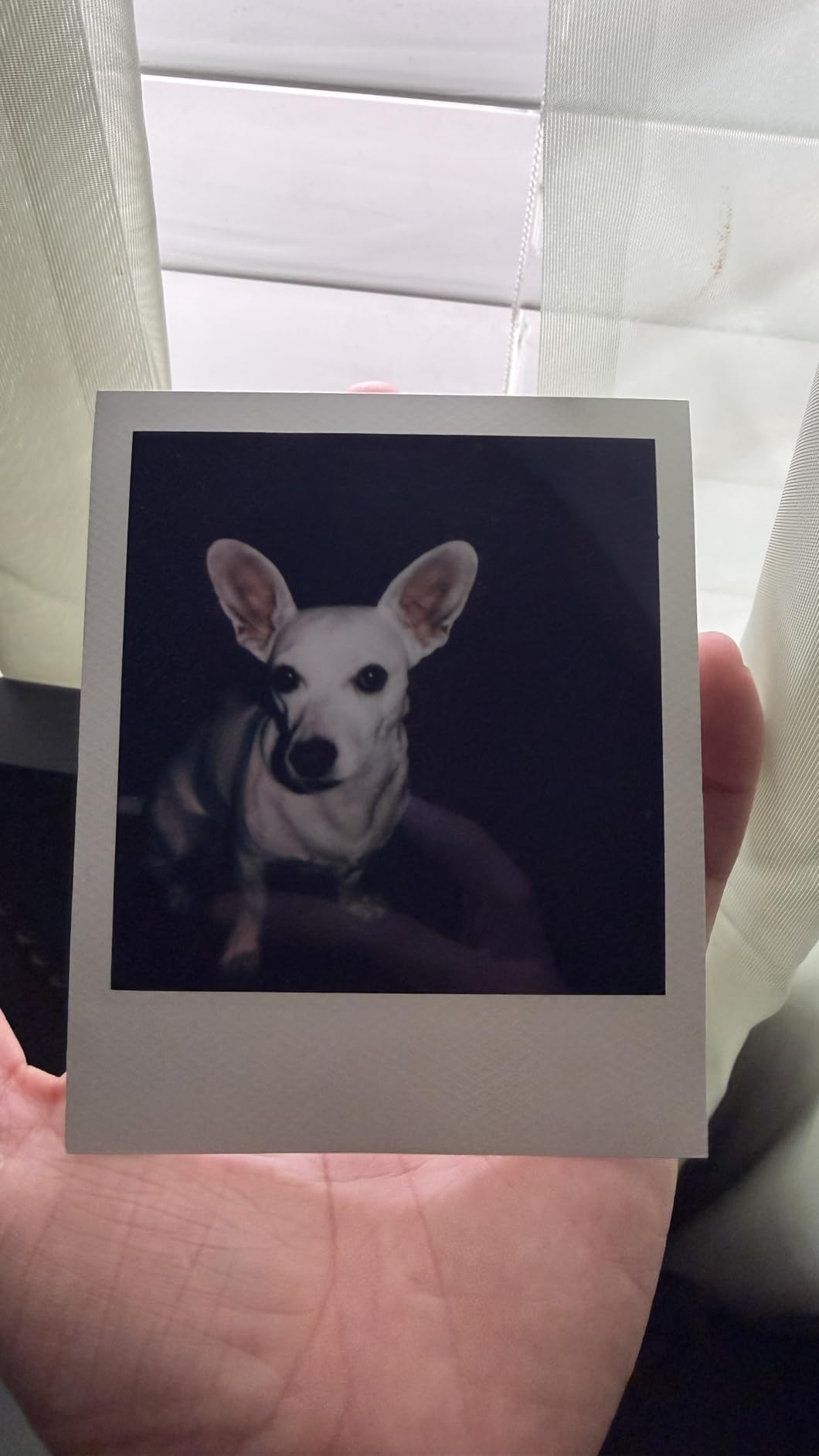 Color Film for I-Type (6000) - 8 Photos customer photo 1