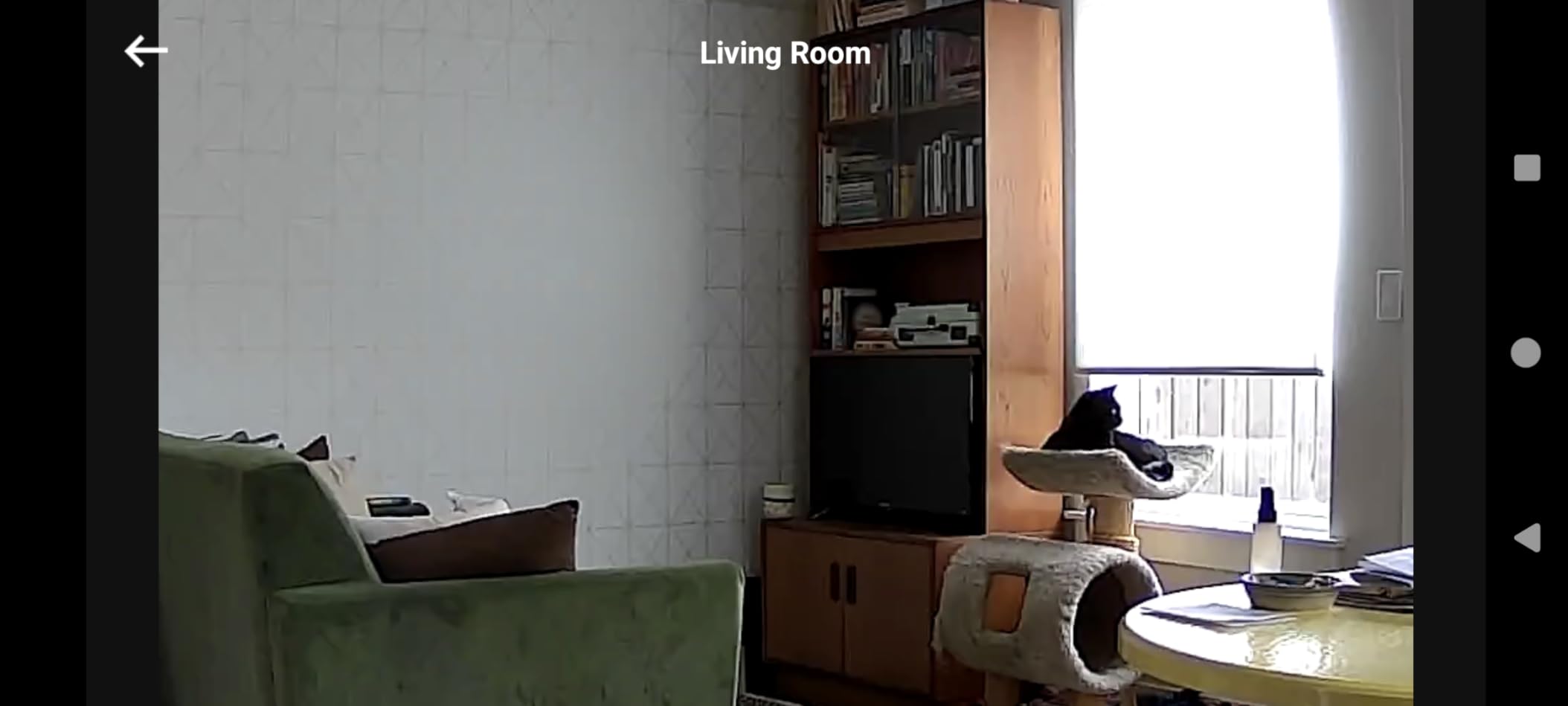 eufy Security Indoor Cam E220, Dog/Pet Camera, Pan and Tilt | 2K Wi-Fi Plug-in, Motion Tracking and Alerts, Night Vision, HomeBase 3/Mini/Prof S1 Compatible, Voice Assistant Support customer photo 2