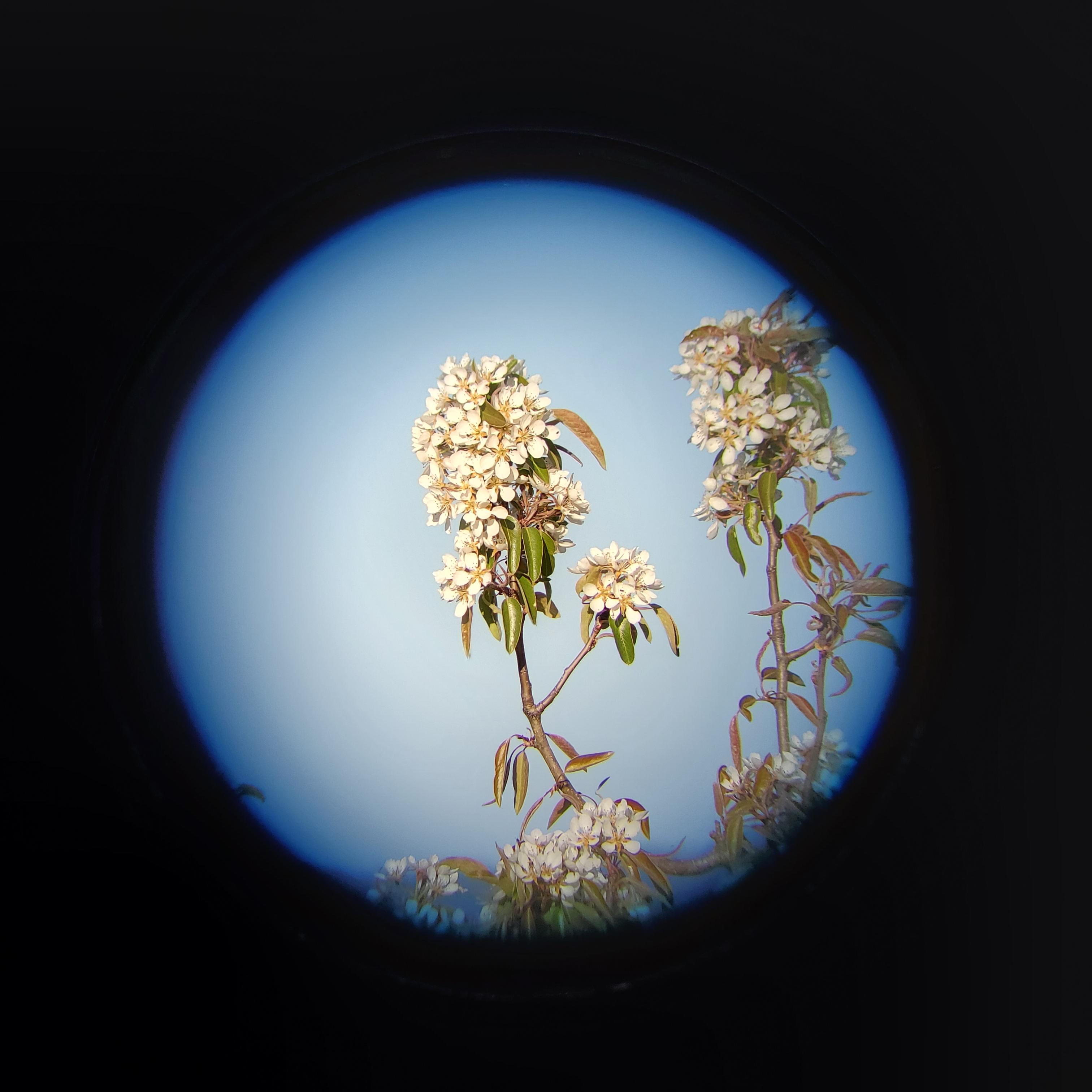 Leupold SX-2 Alpine HD Spotting Scope, Angled customer photo 1