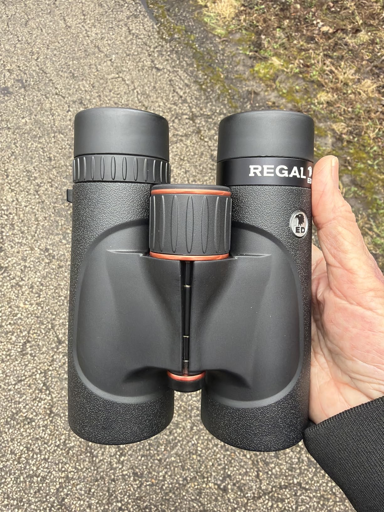 Celestron Regal ED 8x42 Binoculars with ED Glass for Birding & Nature | Premium ED Optics, Phase, Dielectric Coated BaK-4 Prism, Fully Multi-Coated Glass, 4.9 ft Close Focus, Tripod Adaptable customer photo 1