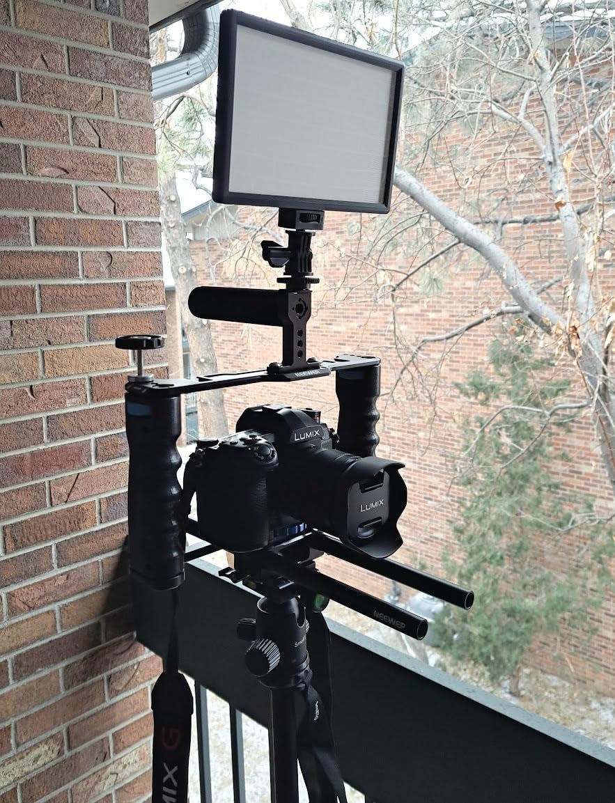 NEEWER Aluminum Alloy Camera Cage, Filmmaking Rig with Top Handle, Dual Grips & Arca Type Base, Compatible with Sony A7S III A7IV A6600 Canon EOS R5C R5 R6, VS107 customer photo 1