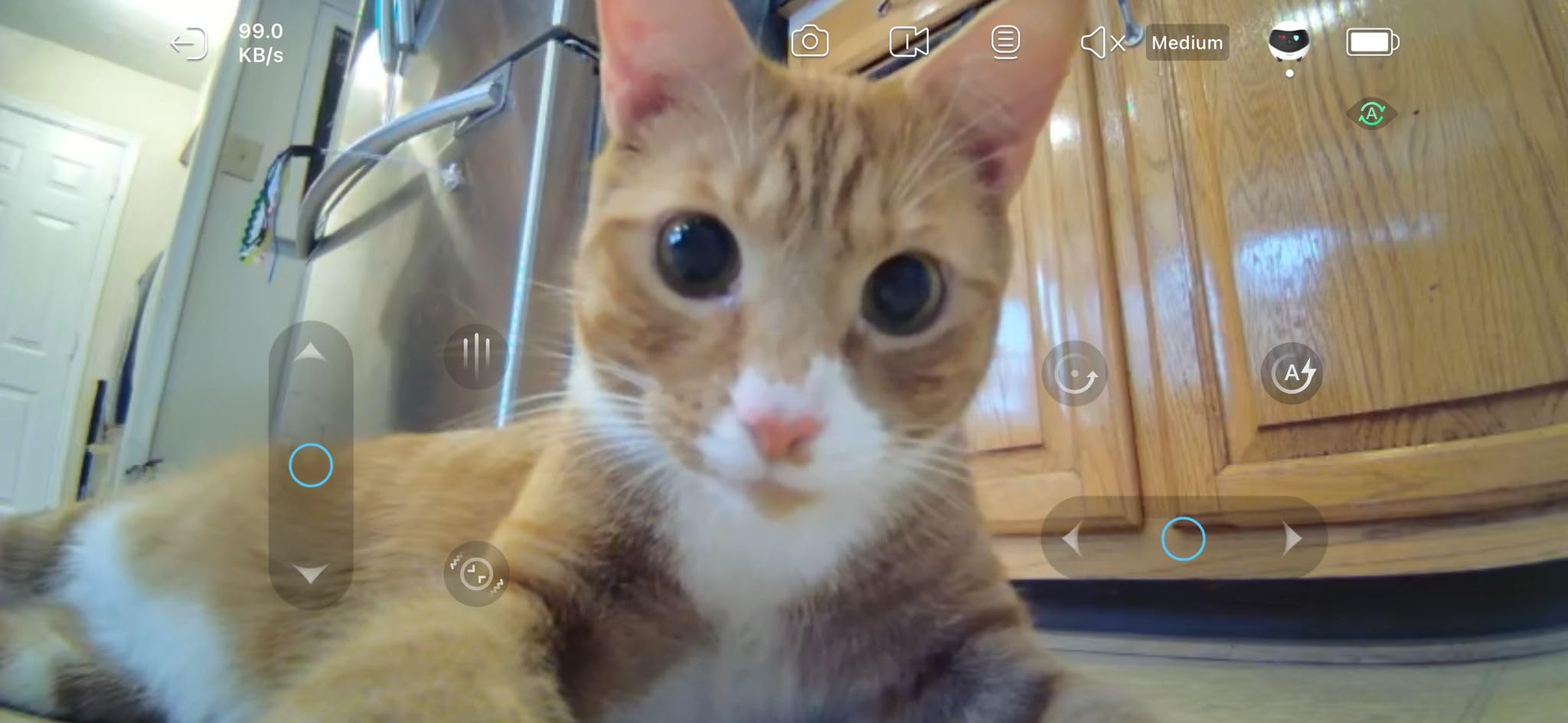 Enabot EBO SE Home Robot Camera: 1080P Mobile FamilyBot Pet Companion | Whole-Home Mobility, Two-Way Talk, Night Vision, Local Storage, Auto-Recharge, Long Distance Gift for Family/Pet customer photo 2