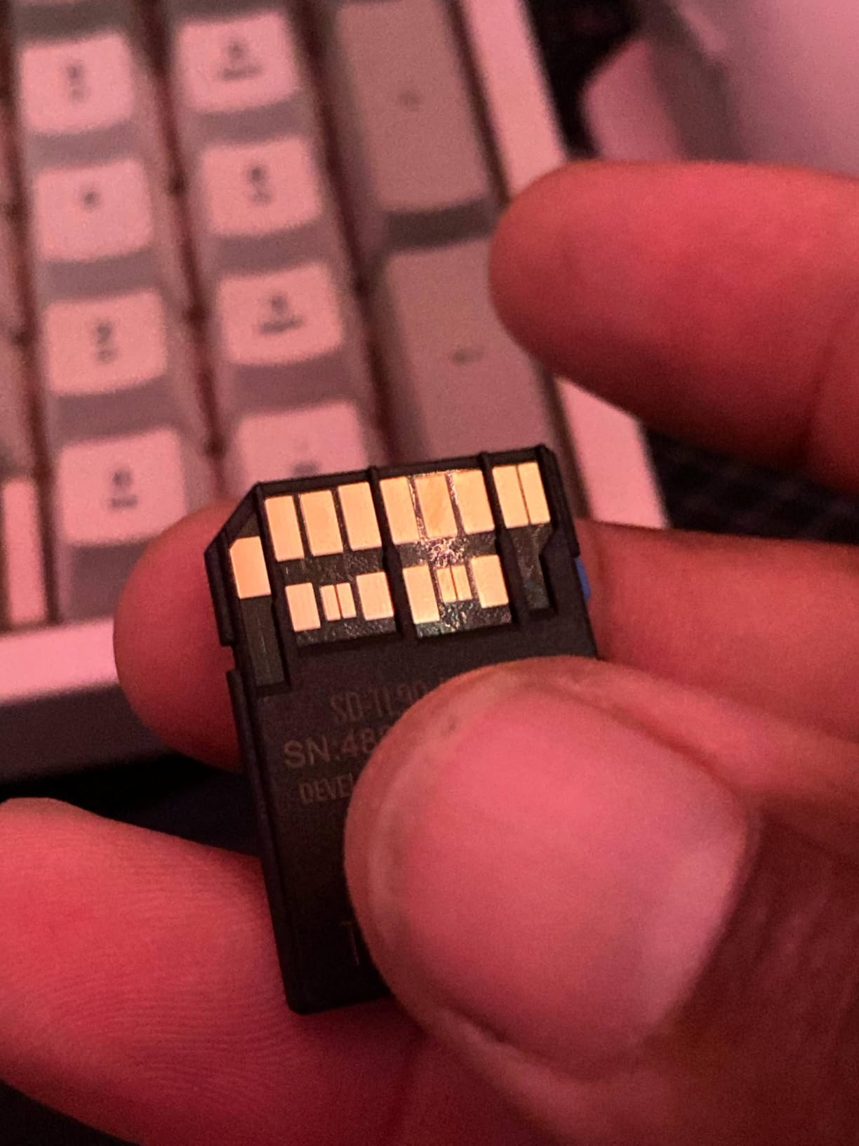 SABRENT Rocket v90 128GB SD UHS-II Memory Card R280MB/s W250MB/s (SD-TL90-128GB) customer photo 1