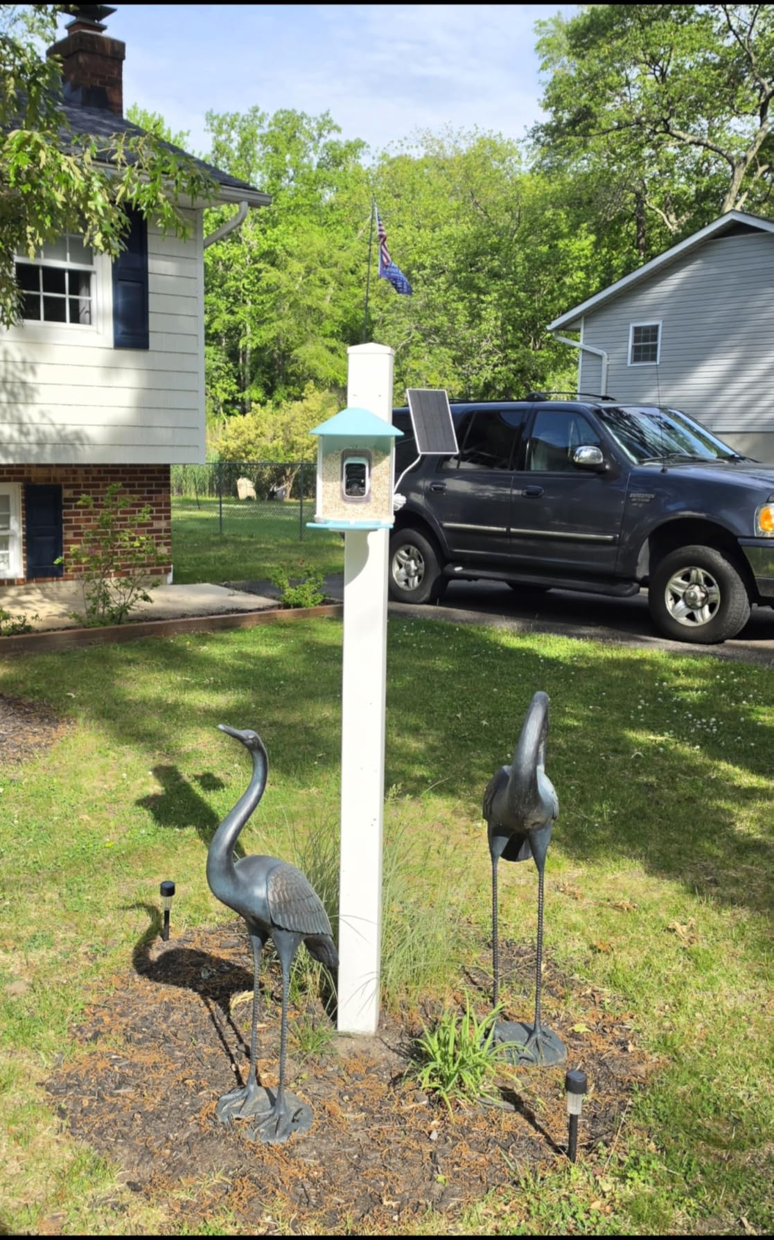 NETVUE by Birdfy Smart Bird Feeder with 2K AI Camera, Solar Powered, Auto Record & Notification, AI Bird ID, Free Cloud Storage, Share with 20+ Members, Work with Alexa customer photo 2