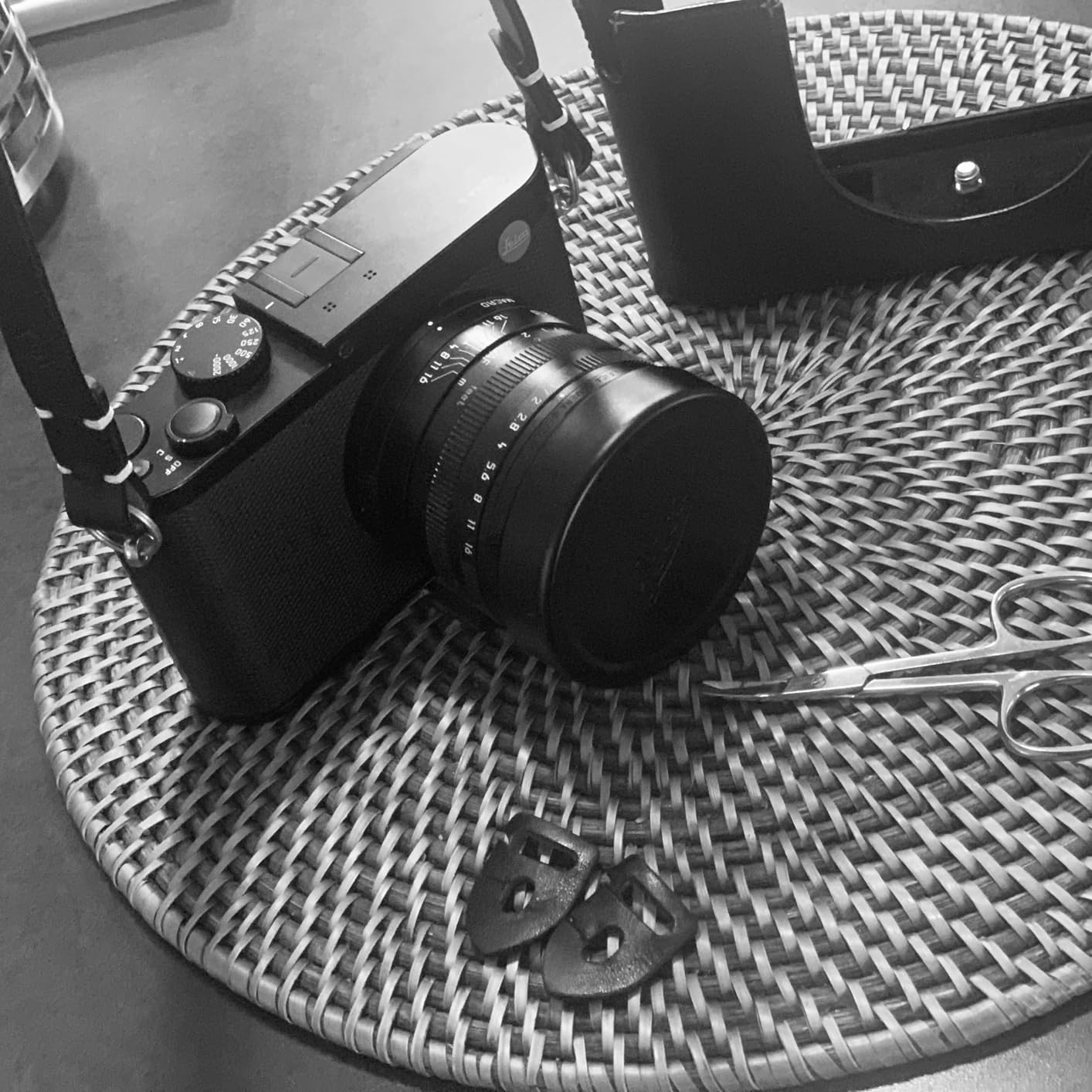 Evergreen Leather Camera Strap - Split Ring, 28