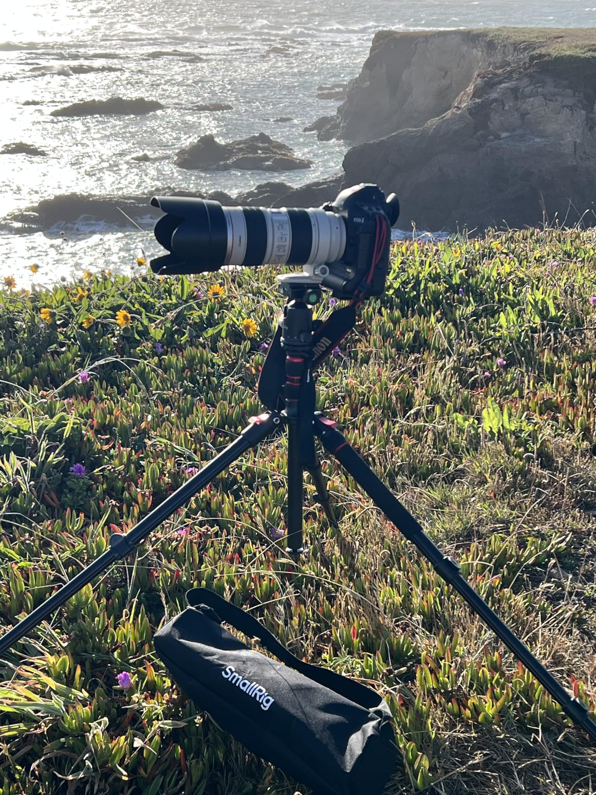 SmallRig Camera Tripod, 71 Inch Foldable Aluminum Tripod/Monopod with 360 Degree Ball Head customer photo 1