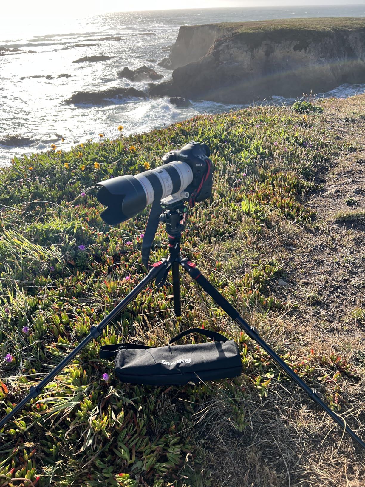SmallRig Camera Tripod, 71 Inch Foldable Aluminum Tripod/Monopod with 360 Degree Ball Head customer photo 2