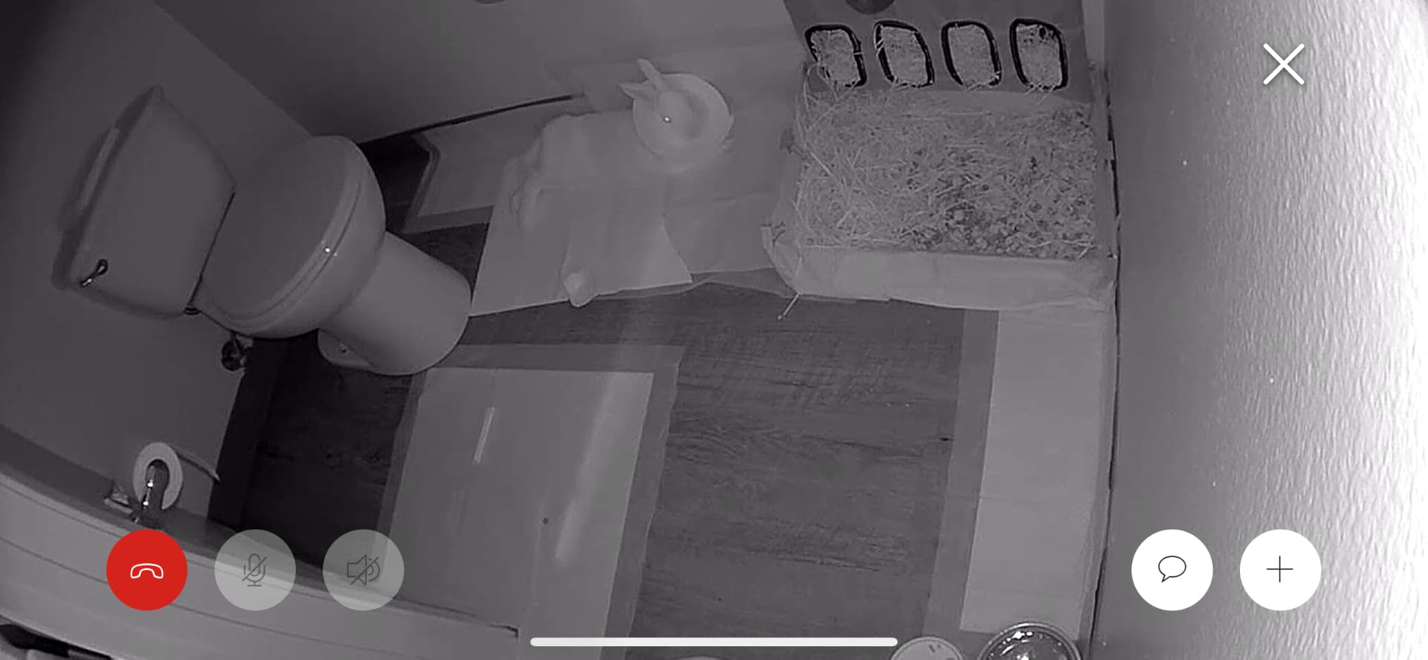 Ring Indoor Cam, Home or business security in 1080p HD video, Black customer photo 2