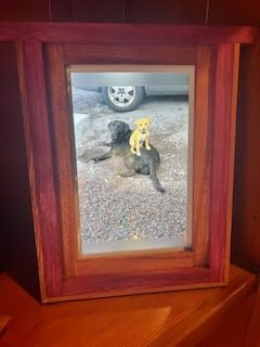 Skylight Digital Picture Frame - WiFi Enabled with Load from Phone Capability, Touch Screen Digital Photo Frame Display - Customizable Gift for Friends and Family - 10 Inch White customer photo 2
