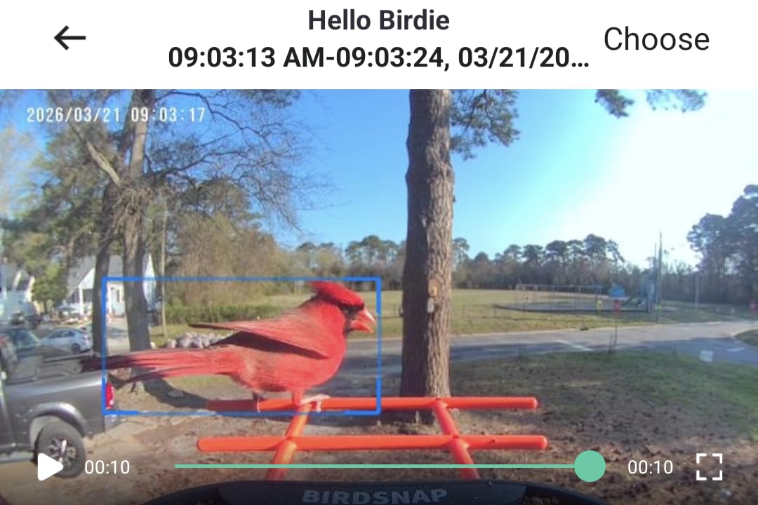 birdsnap PAV Bird Feeder with Camera Solar Powered 2K Live Video 32GB Card customer photo 1