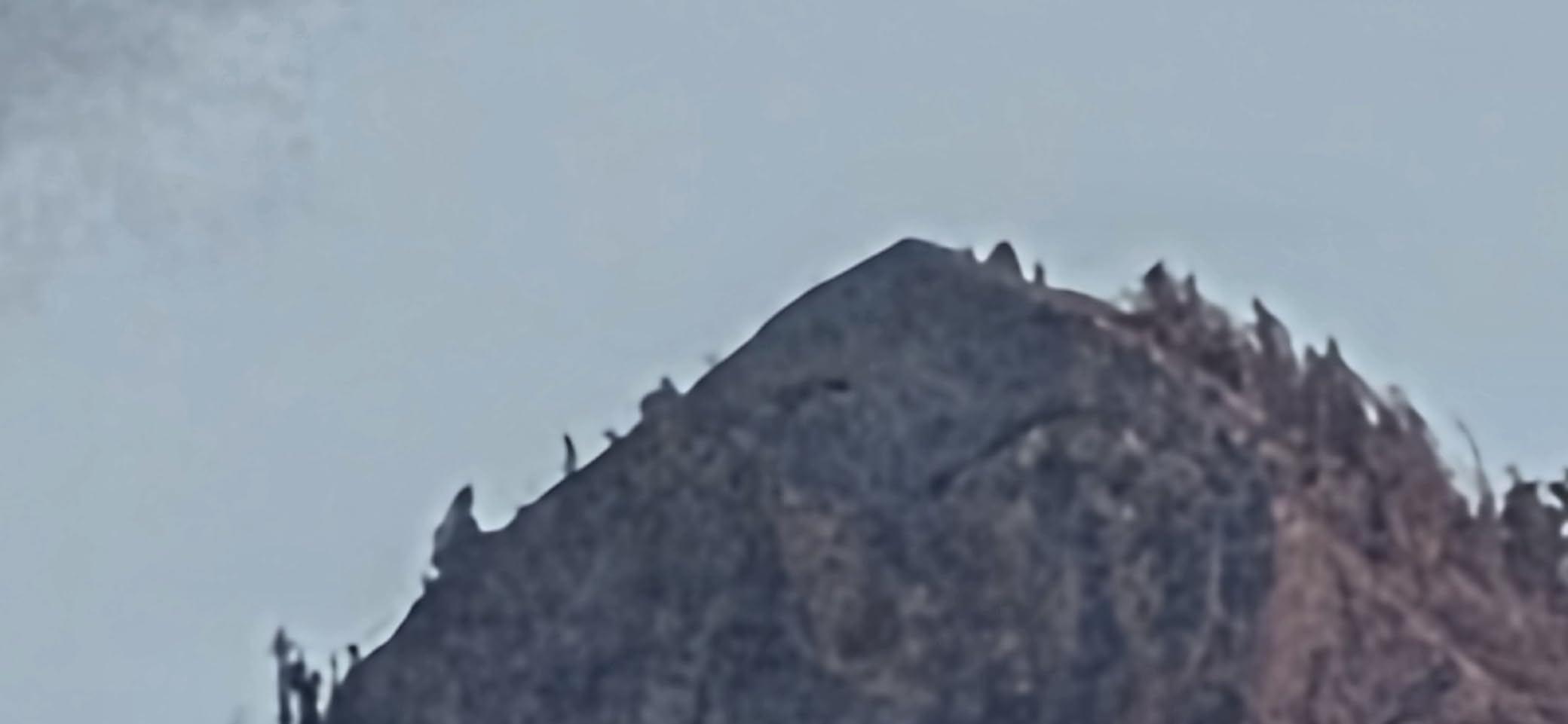 Canon RF 200-800mm F6.3-9 IS USM Super-Telephoto Zoom Lens customer photo 2