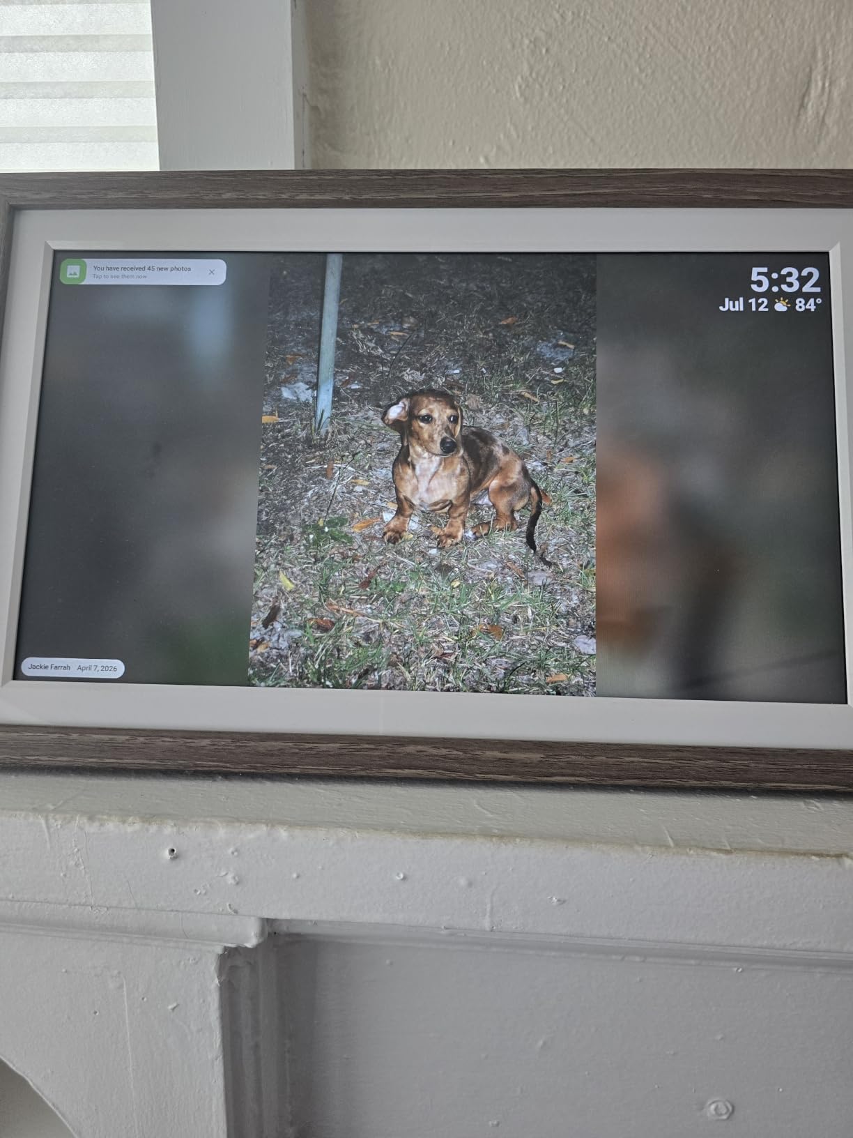Digital Picture Frame, Frameo 15.6 Inch Large Digital Photo Frame WiFi, 1920 * 1080 IPS FHD Touch Screen, 32GB, Tabletop&Wall-Mounted, Electronic Photo Frame, Share Video, Birthday, Wedding, for Mom customer photo 1
