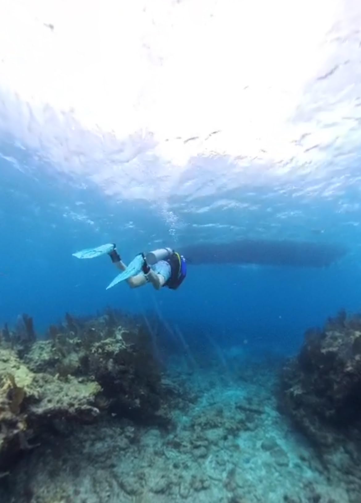 Insta360 X4 Invisible Dive Bundle - 8K Waterproof 360 Action Camera, 4K Wide-Angle Video, Invisible Selfie Stick, Removable Lens Guards, 135 Min Battery Life, AI Editing, Stabilization customer photo 1