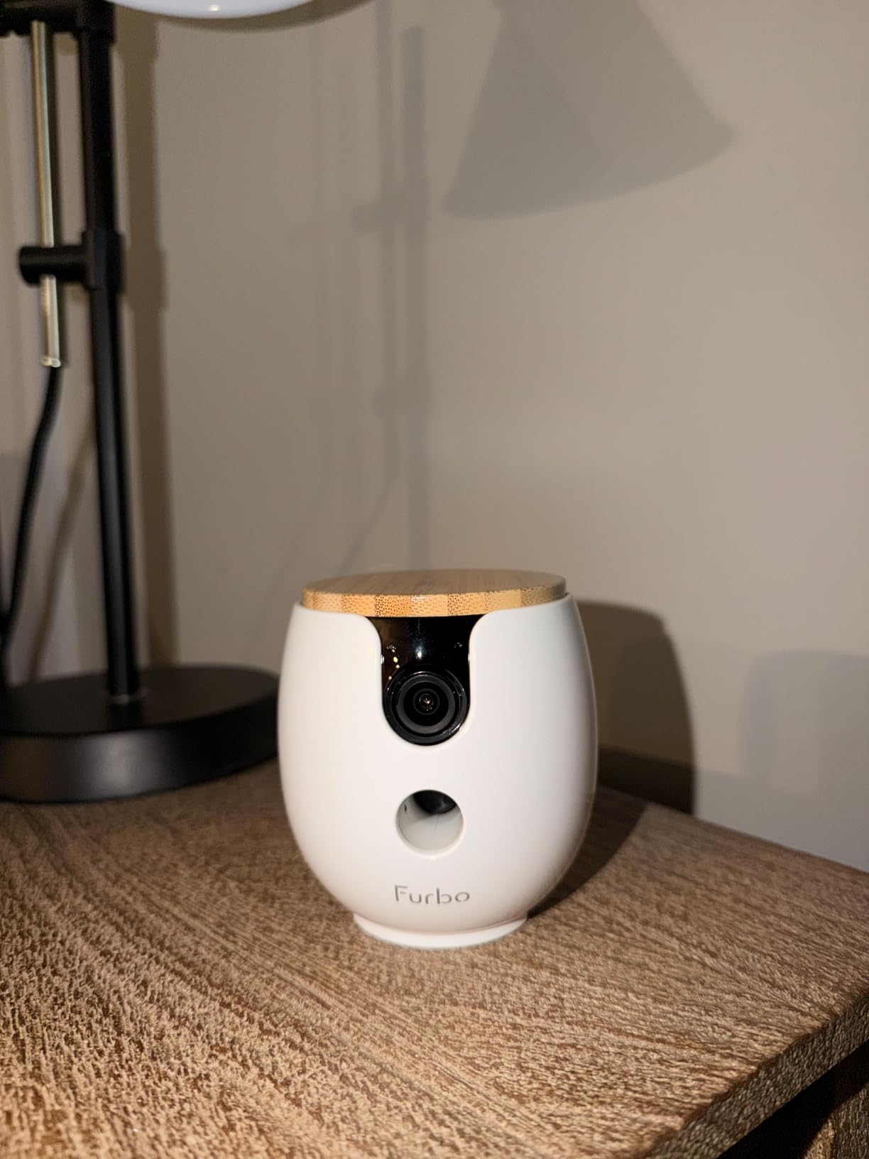 Furbo Mini 360° Pet Camera [Paid Plan Required to Activate] | Stay connected with AI Pet & Home Safety Alerts, 2K QHD View, Auto-Tracking, Video History, 2-Way Audio, Paid Plan Required customer photo 2