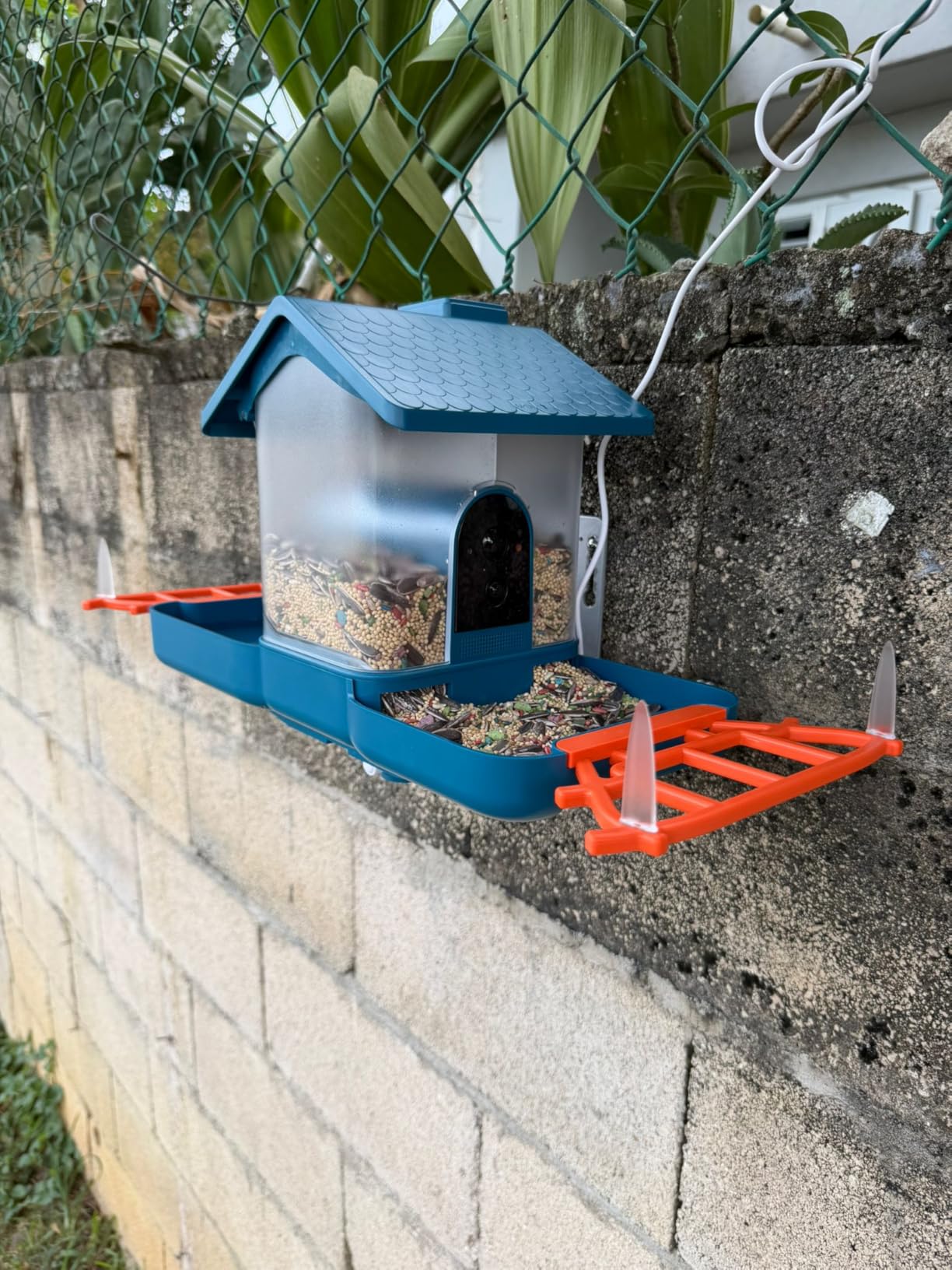 Smart Solar Bird Feeder with Camera & Outdoor Bird Bath customer photo 1