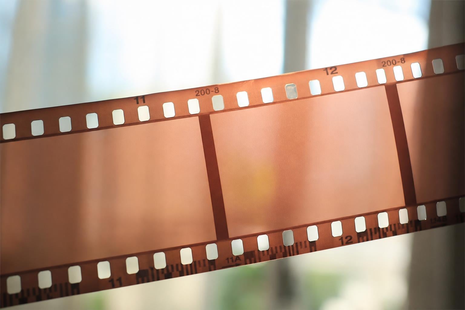 Why Are My Film Negatives Completely Blank?
