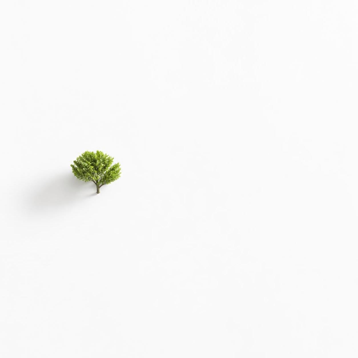 What Is Negative Space and Why Does It Make Photos Stronger?