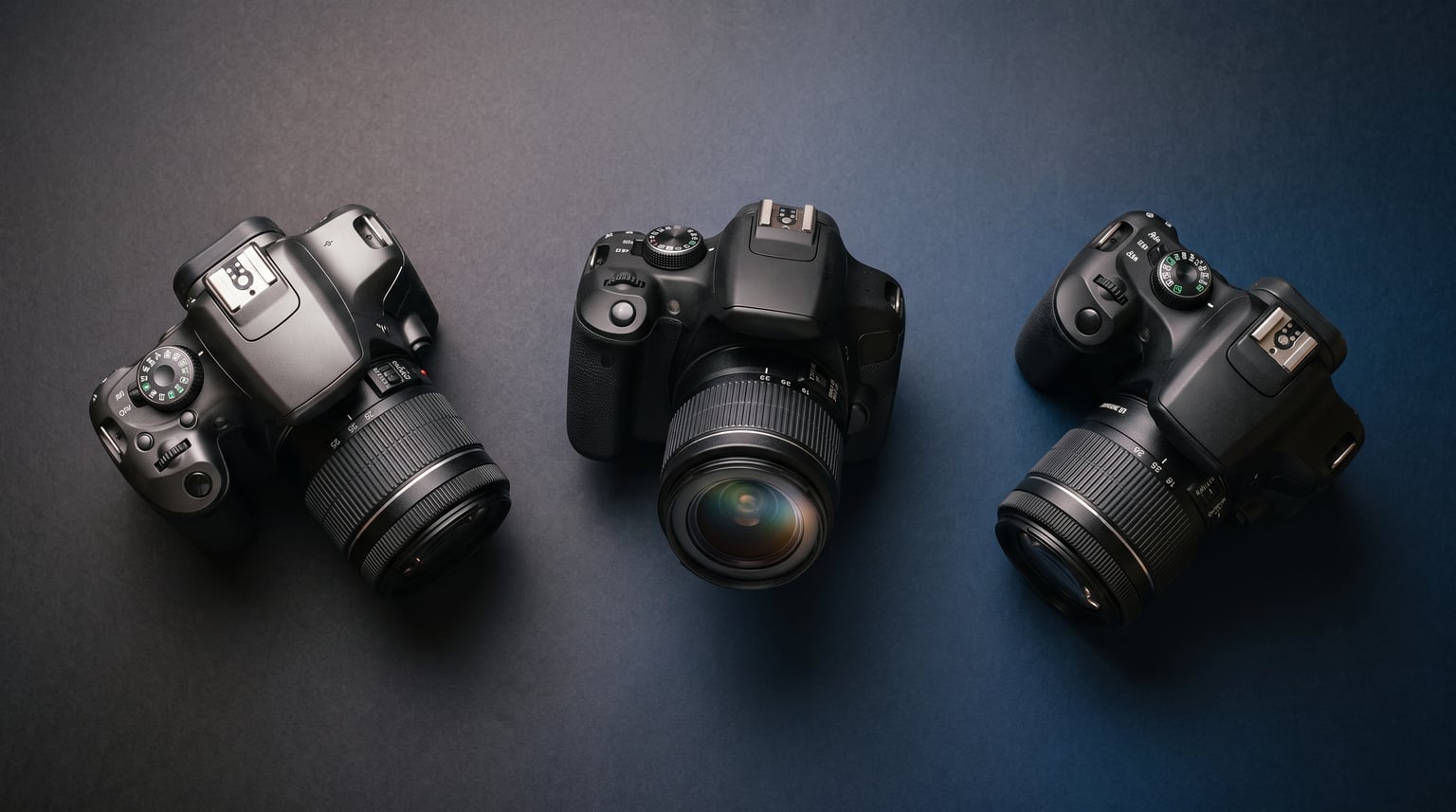 Best DSLR Cameras for Beginners