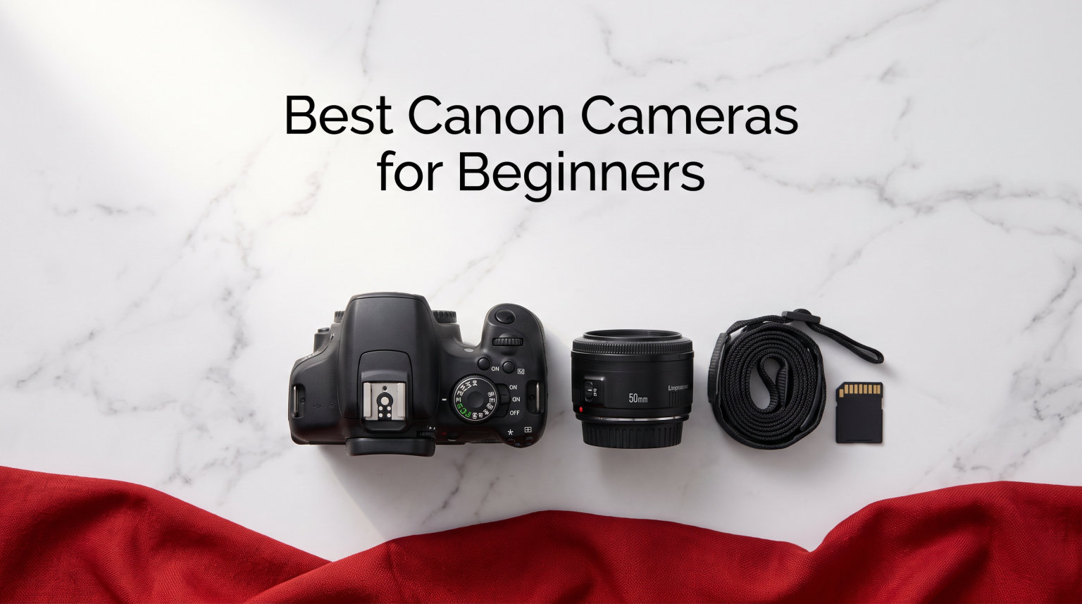 Best Canon Cameras for Beginners