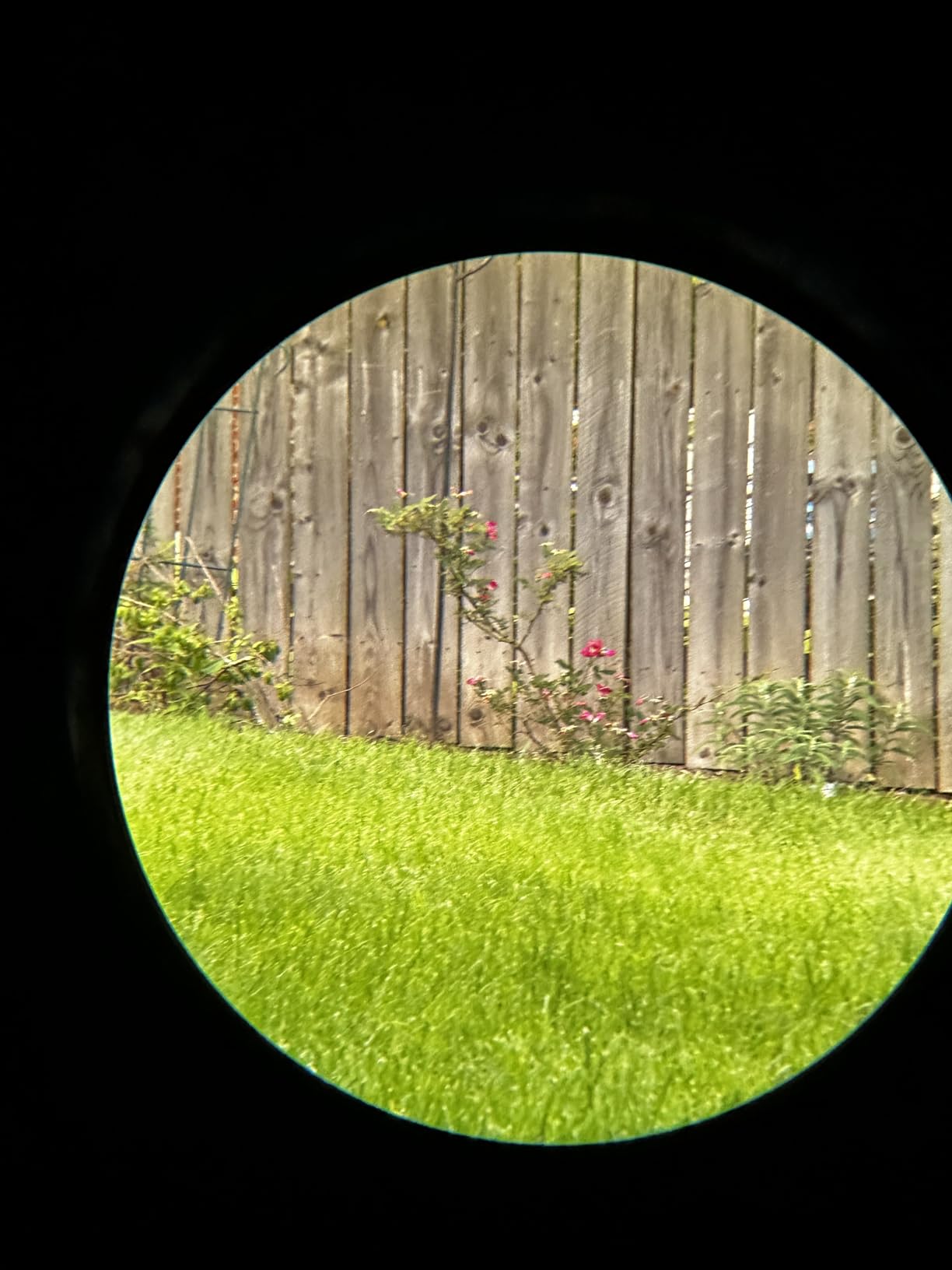 Vortex Solo Monocular 10x36 | Utility Clip, Adjustable Eyecup, Multi-Coated Lenses, Rubber Armor, Fogproof, Waterproof - Unlimited, Unconditional Warranty customer photo 2