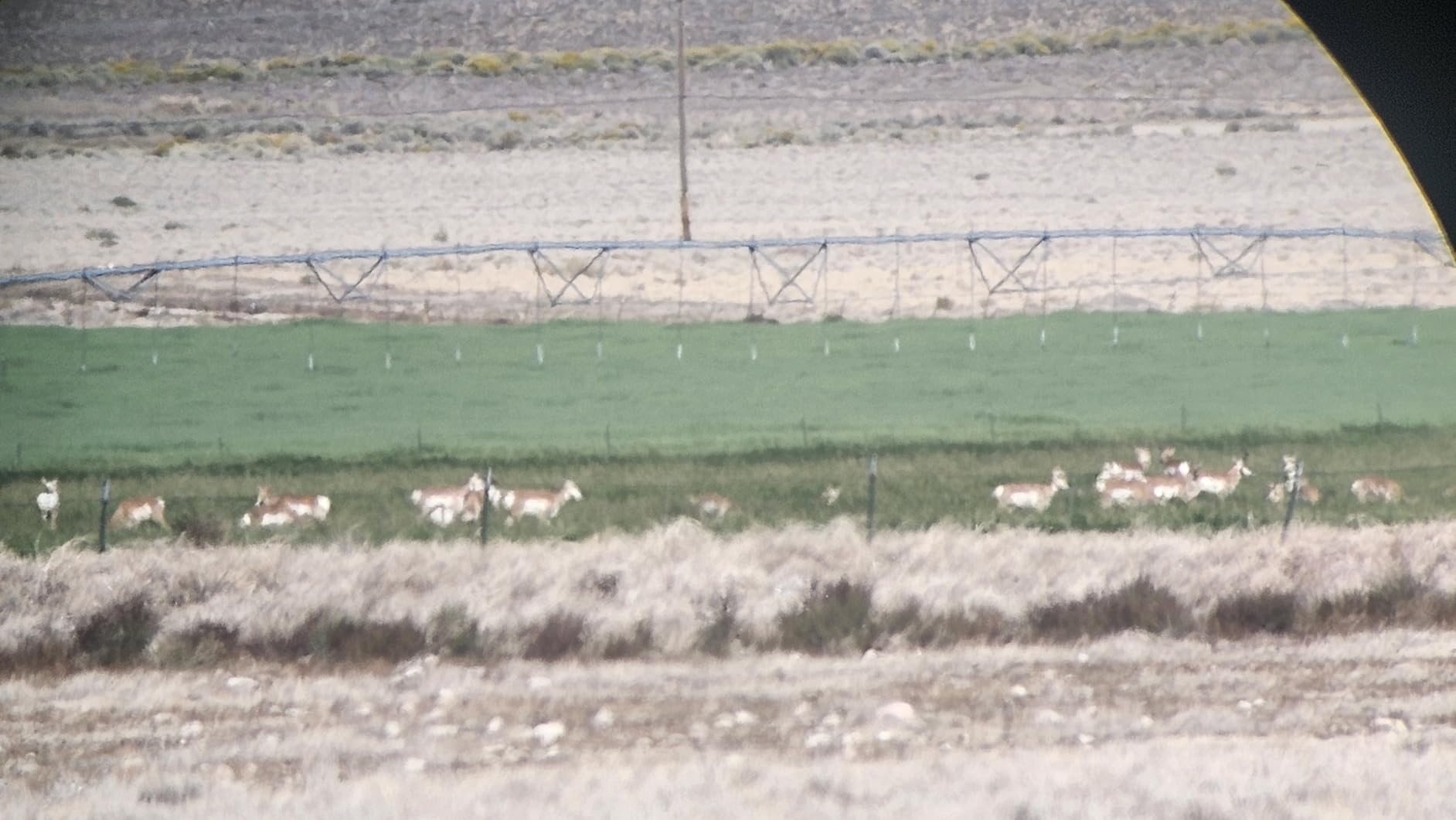 Vortex Viper HD Spotting Scopes customer photo 1