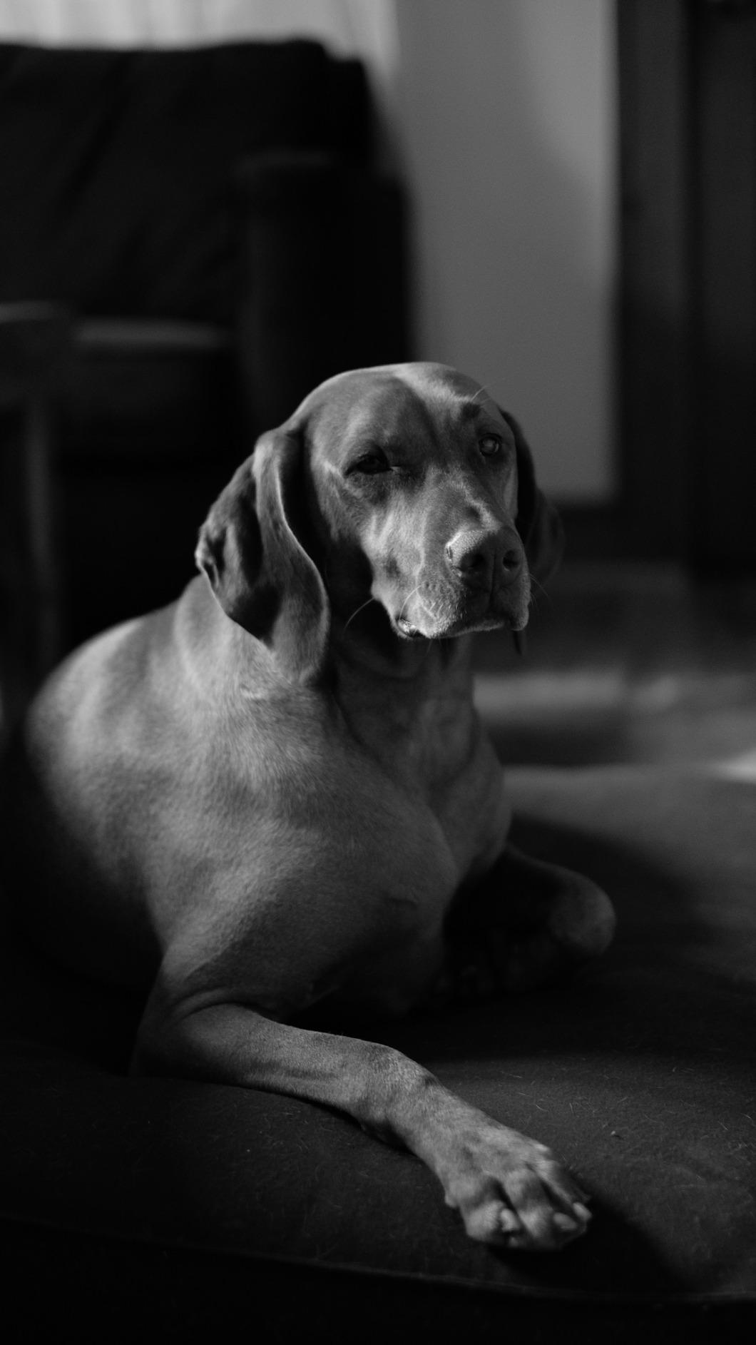 Fujifilm XF35mmF1.4 R customer photo 2