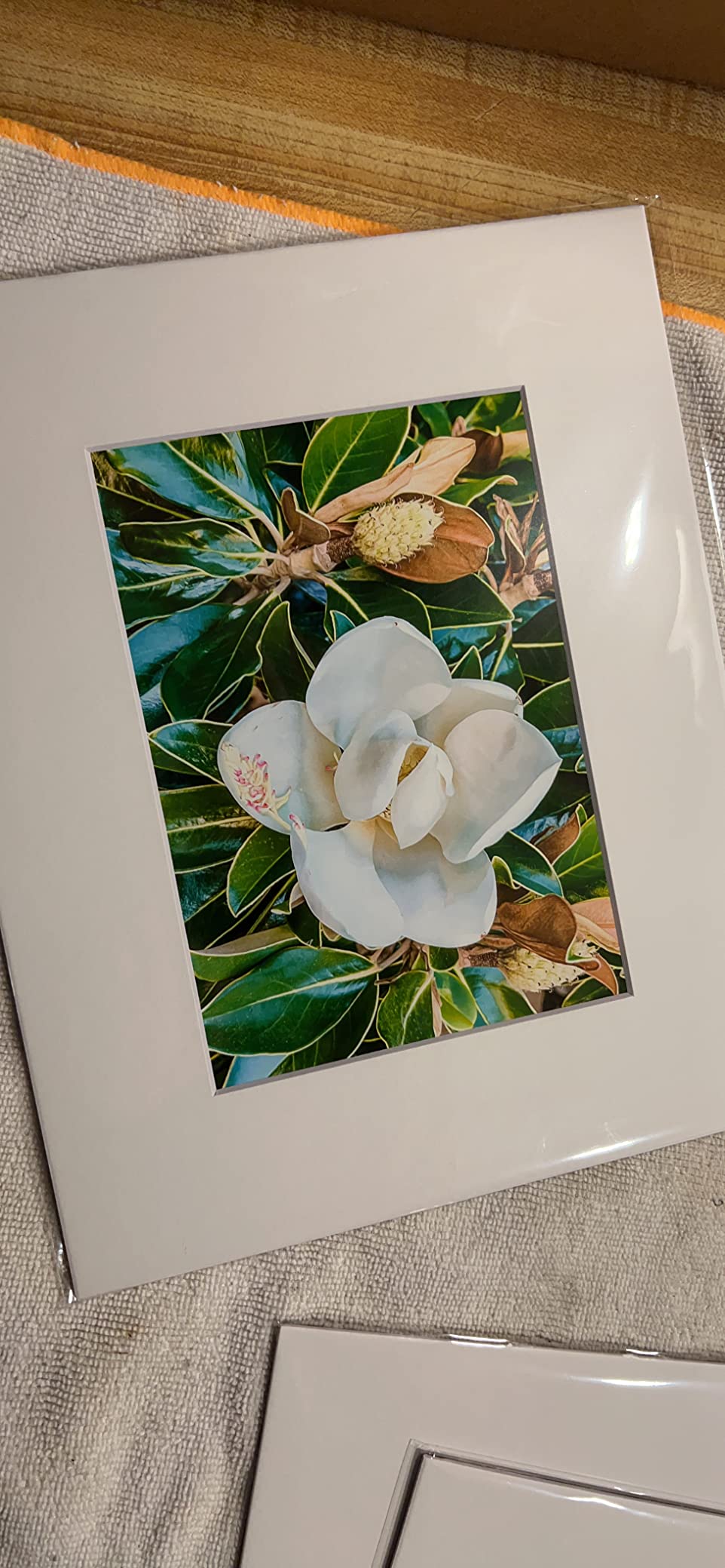 Golden State Art 50 Pack White 8x10 Mat for 5x7 Photo include Backings+Bags | Acid-Free Pre-Cut Kit Mats Matte Sets with White Core Bevel Cut 4.5x6.5 Opening for 5x7 Photos, Pictures Artwork and Prints customer photo 2