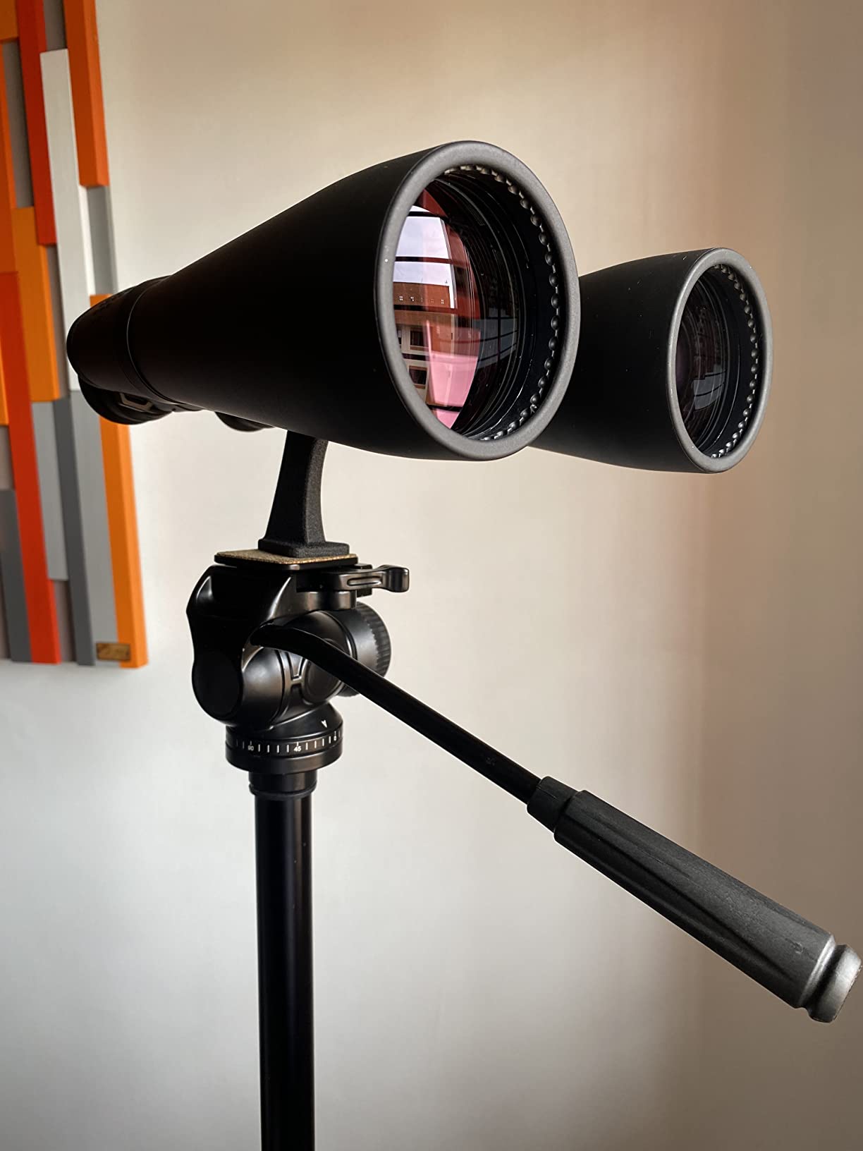 Celestron TrailSeeker Tripod for Spotting Scopes, Binoculars & Cameras | Quick-Release Plate, Smooth Pan & Tilt Movements, Adjusts to Your Terrain, Fast Setup, Perfect for Wildlife Viewing or Travel customer photo 1