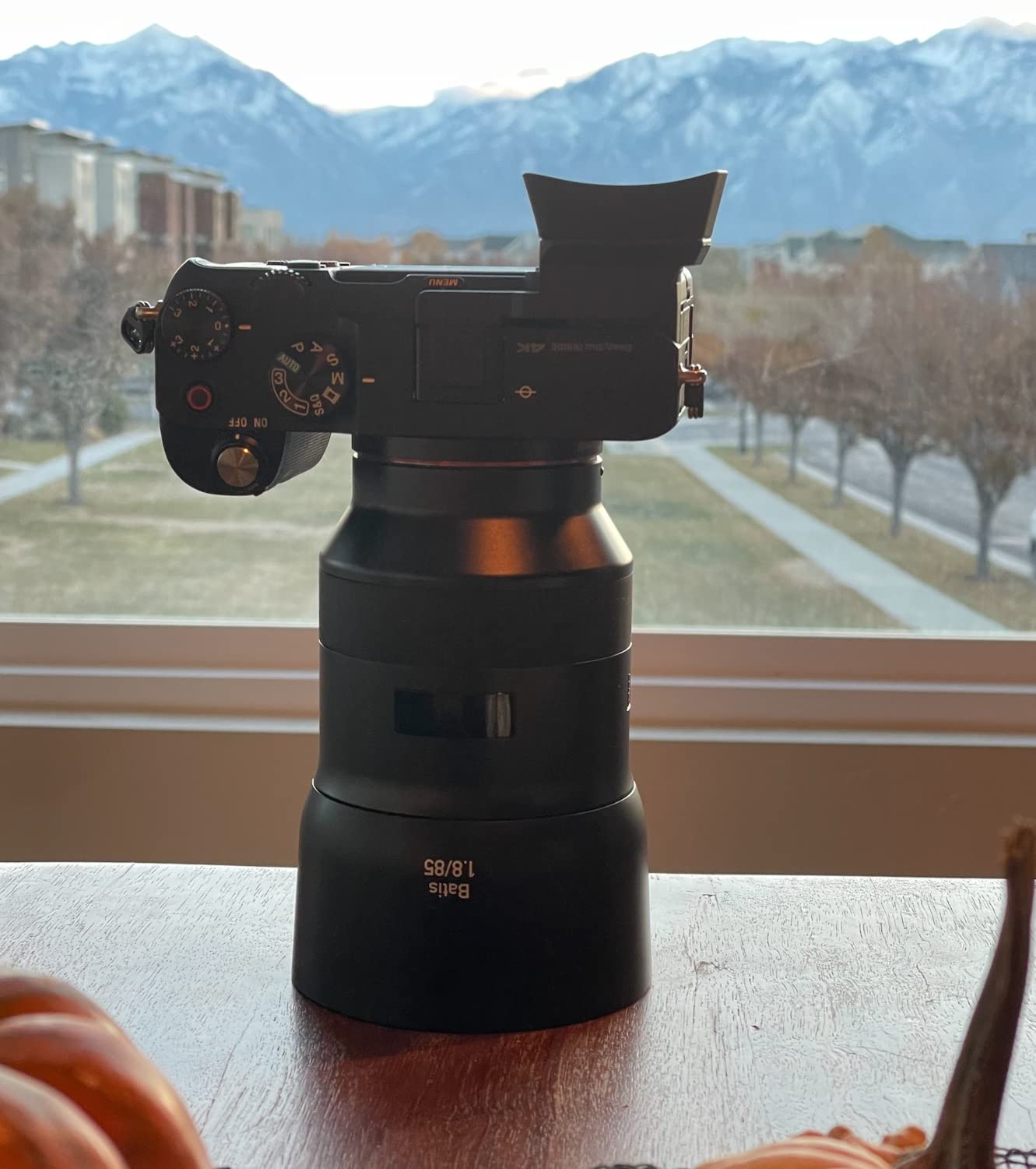 Zeiss Batis 85mm f/1.8 Lens for Sony E Mount Mirrorless Cameras, Black customer photo 2