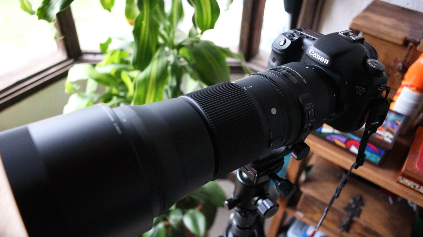 Sigma 150-600mm f/5-6.3 DG HSM OS Contemporary Lens for Canon EF customer photo 2