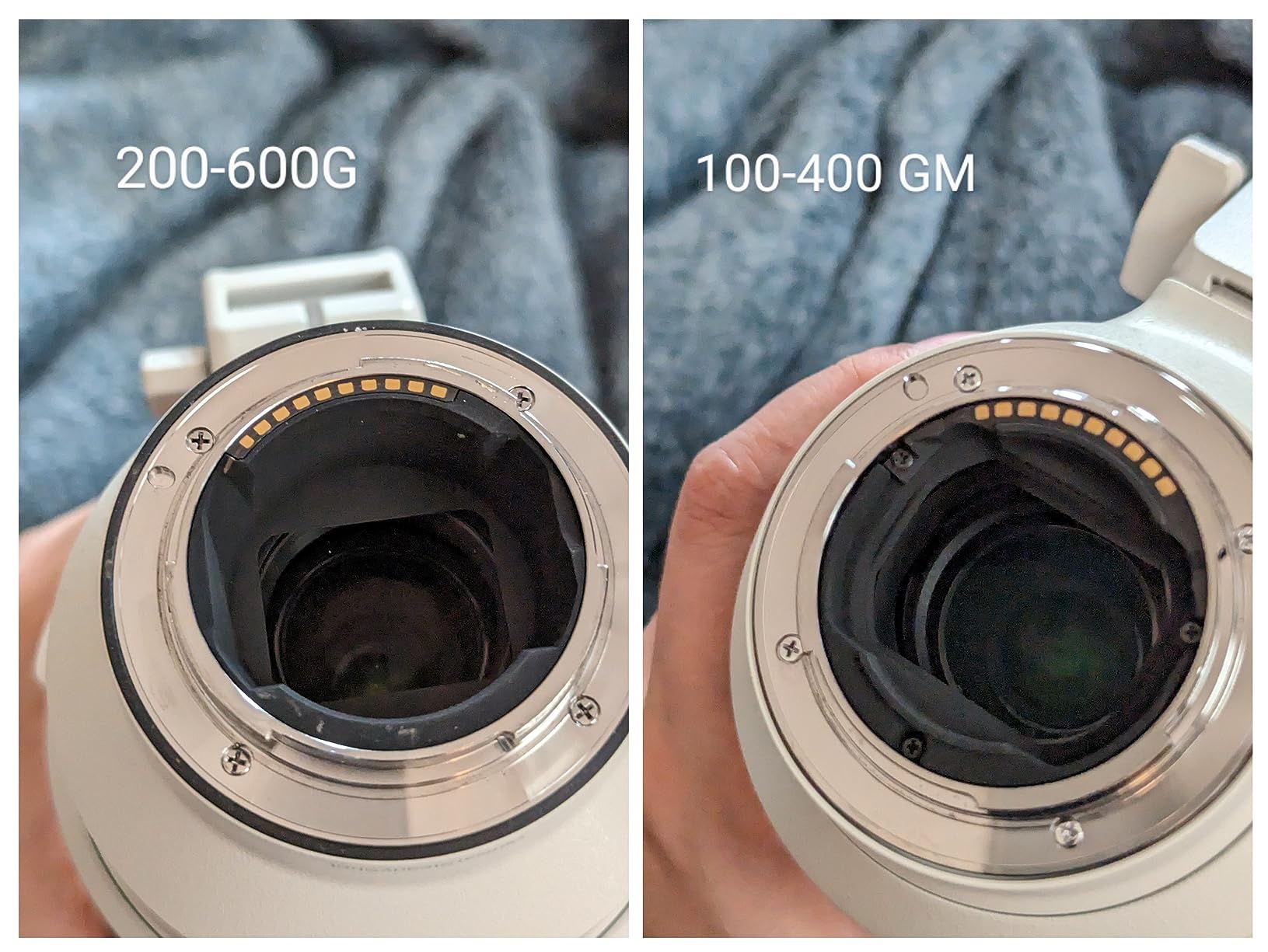Sony FE 100-400mm F4.5-5.6 GM OSS Lens (Renewed) customer photo 2