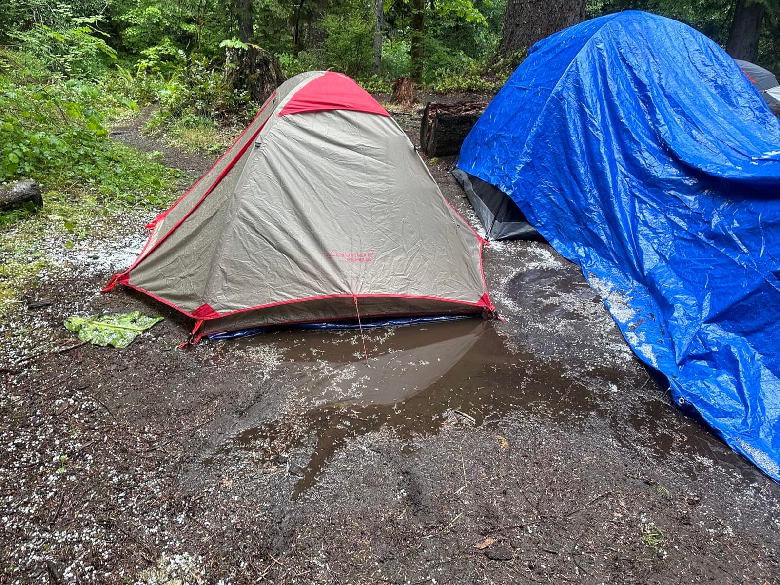 Clostnature 1/1.5/2/3/4/6 Person Lightweight Backpacking Tent, Camping Tent customer photo 2