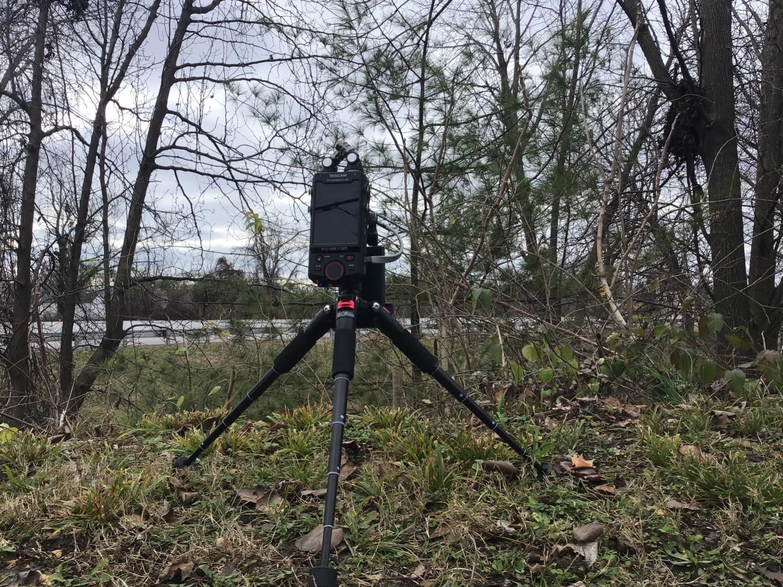 NEEWER Portable Travel Mini Tabletop Tripod, Aluminum Alloy 20''/ 50cm Desktop Desk Tripod with 360 Degree Ball Head, 1/4