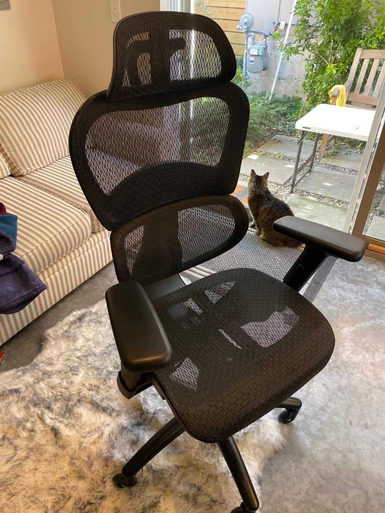Nouhaus Ergo3D Ergonomic Office Chair with Dynamic Lumbar Support, Grey | High Back, Mesh Home Office Desk Chairs with 4D Armrests, Adjustable Headrest, Aluminum Base, BIFMA, SGS, 2 Sets of Wheels customer photo 2