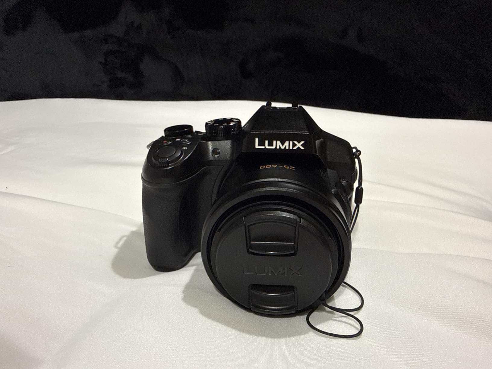 Panasonic Lumix FZ300 Long Zoom Digital Camera, 12.1 Megapixel, 1/2.3-inch Sensor, 4K Video, WiFi, Splash/Dustproof Camera, Leica DC 24X F2.8 Zoom Lens - DMC-FZ300K (Renewed) customer photo 2