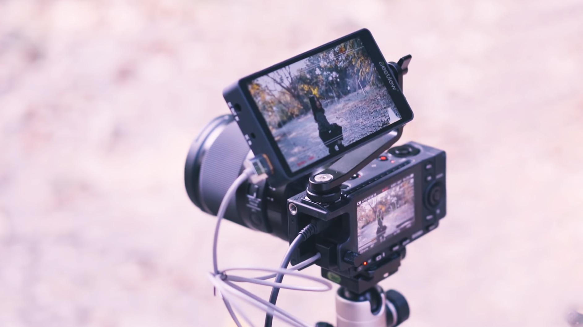 Sigma fp Mirrorless Full-Frame Digital Camera with 45mm f/2.8 Contemporary DG DN Lens customer photo 1