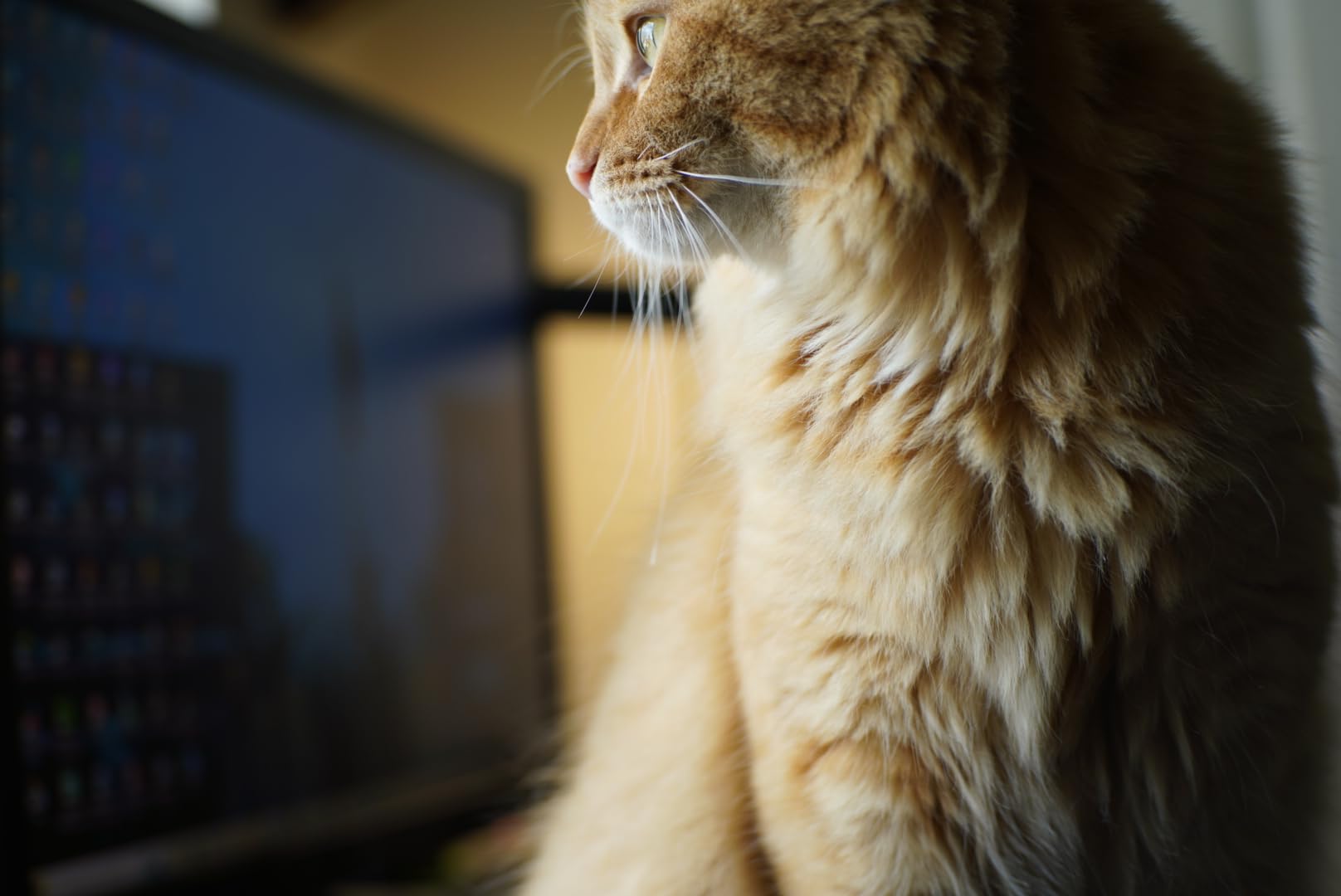7artisans 35mm F1.4 Mark II APS-C Manual Focus Fixed Lens for Sony E Mount customer photo 1
