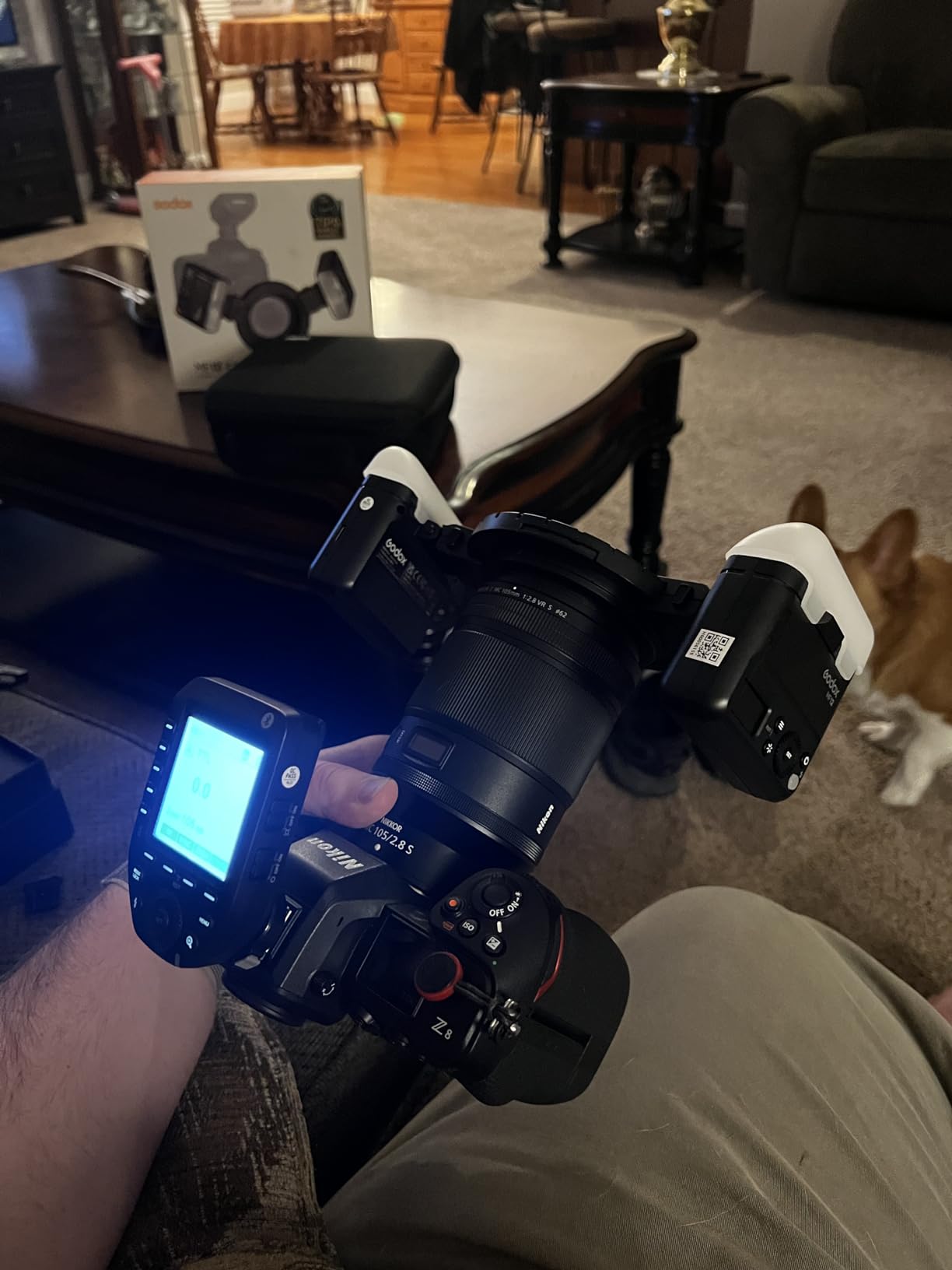 Godox MF12 MF12-K2 Macro Flash Off-Camera TTL Flash Speedlite 12W, 2.4G Wireless Control, TTL/M Mode, Built-in 3.7V/6.29W Lithium Battery, Compatible with Nikon, Sony, Canon, Fuji, Olympus and Panasonic customer photo 1