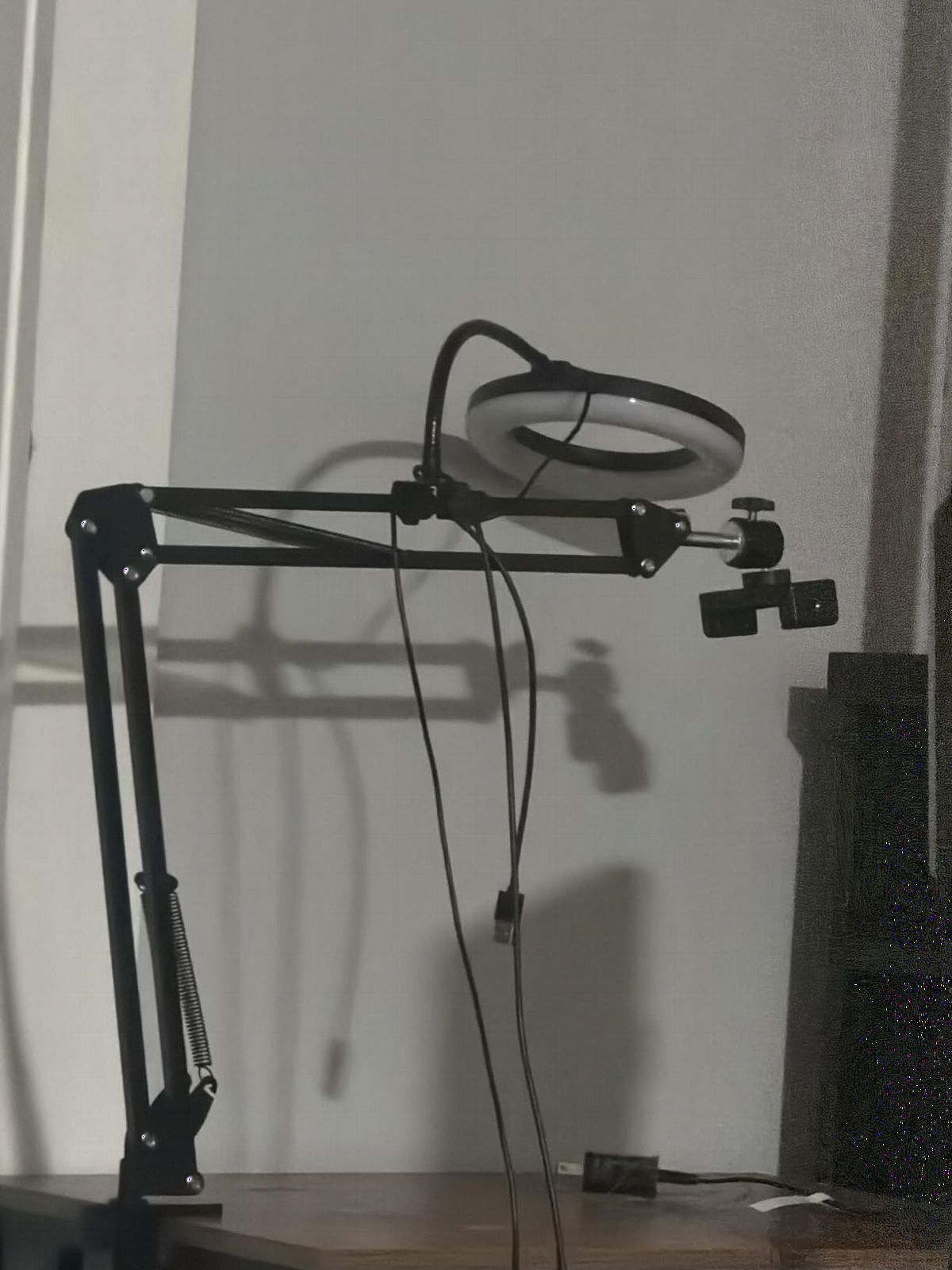 Overhead Camera Mount with Ring Light, Flexible Articulating Phone Arm Stand Compatible with iPhone, Logitech Webcam, Desk Tripod for YouTube Live Stream Cooking Nail Video Recording customer photo 2