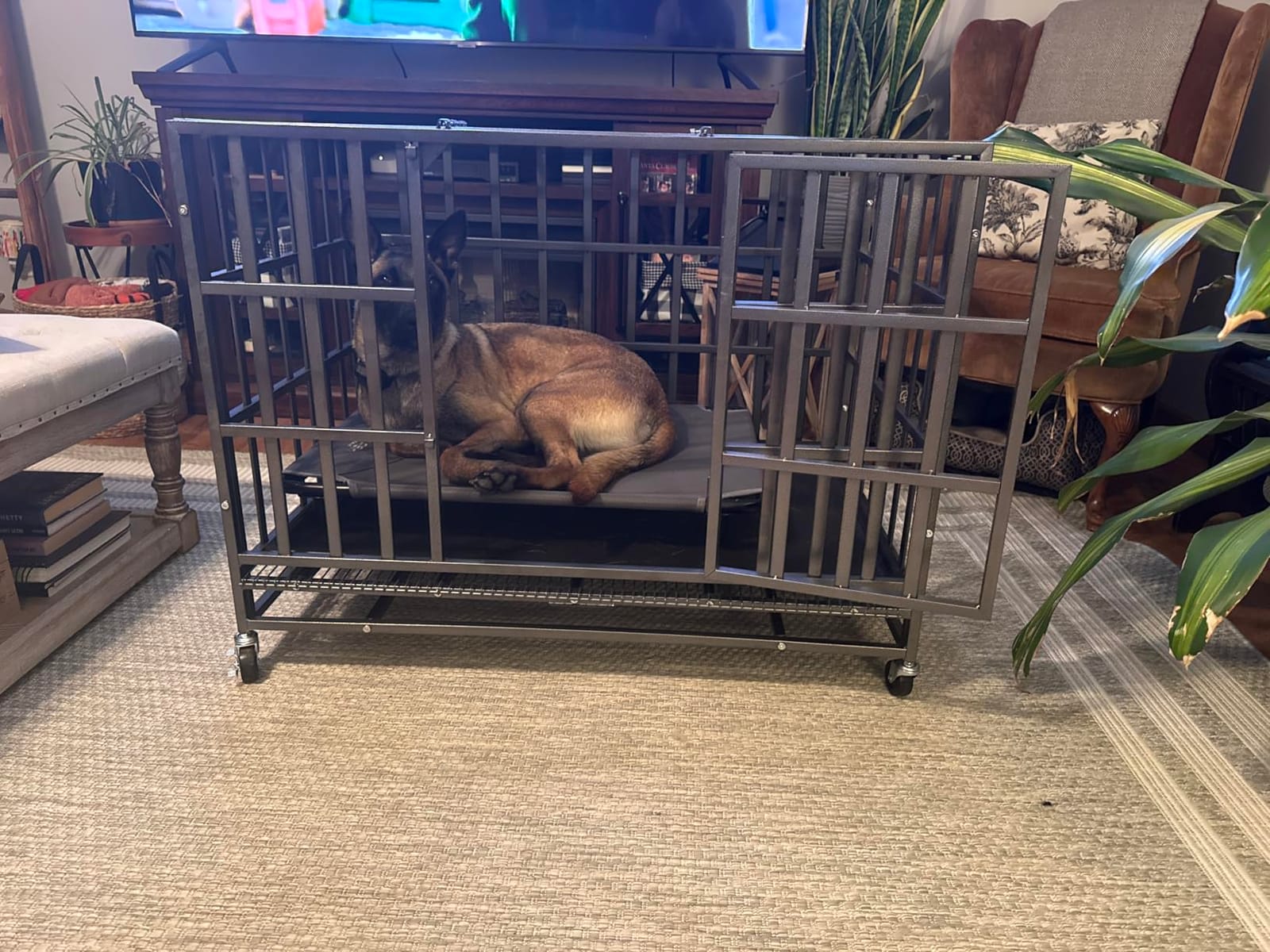 Hiwokk 48 Inch Heavy Duty Dog Crate, Indestructible Kennel for Large Dogs customer photo 2