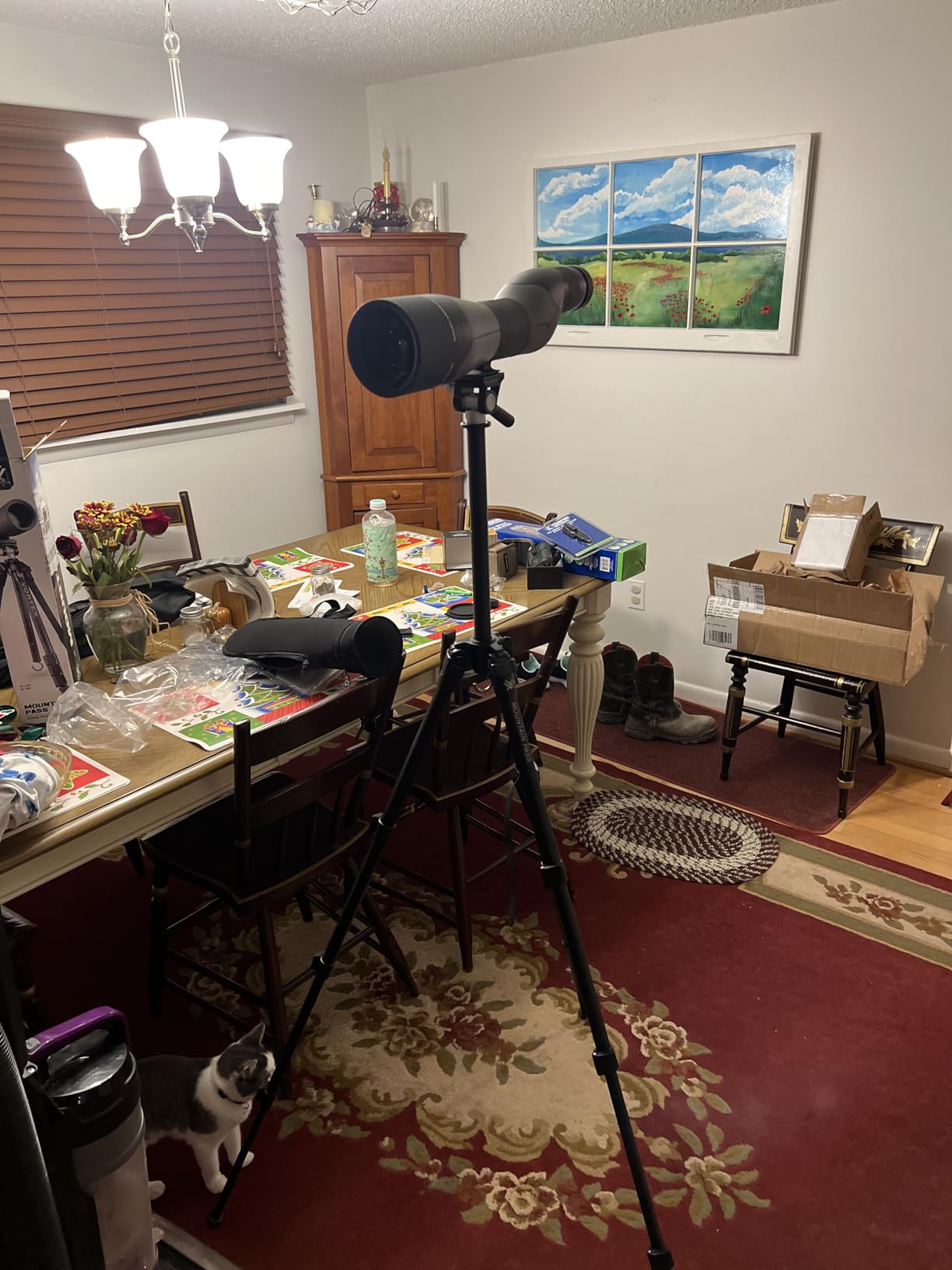 Vortex Mountain Pass Tripod Kit | 2-Way Pan Head - 22 lb Max Load, Arca-Swiss Mount, Aluminum Legs, Flip Lever Leg Locks - Unlimited, Unconditional Warranty customer photo 1